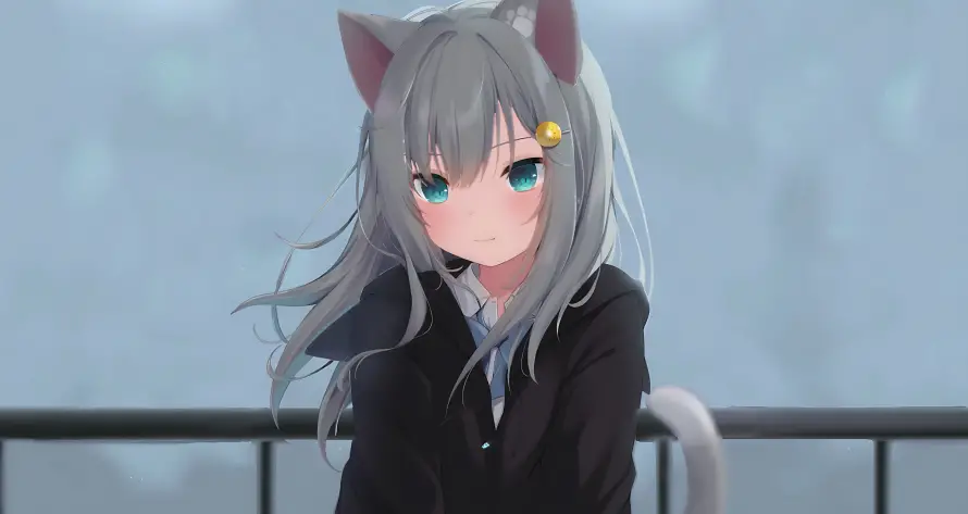 1735081811808.webp