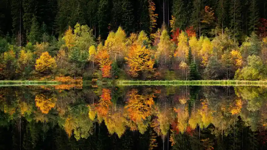 1735081672088.webp