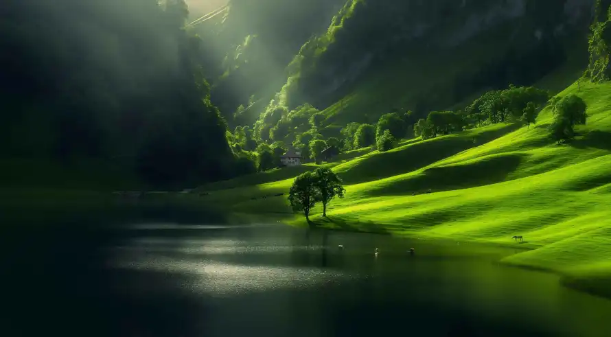 1735081671148.webp