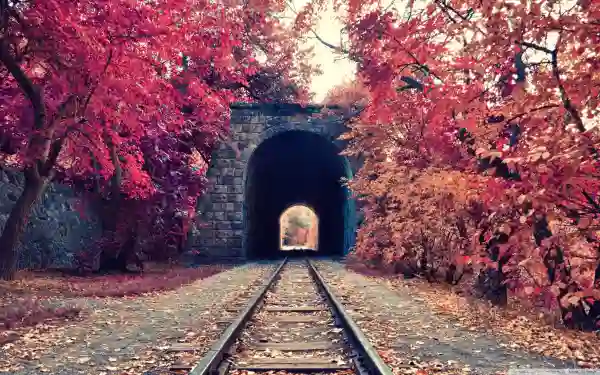 1735081627304.webp