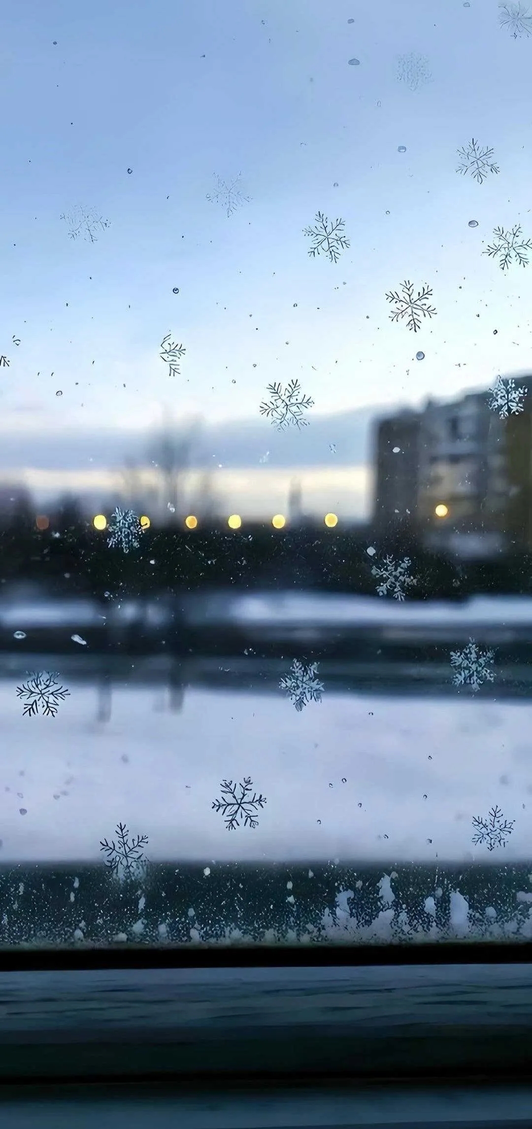 搜图神器_1735100130677.webp