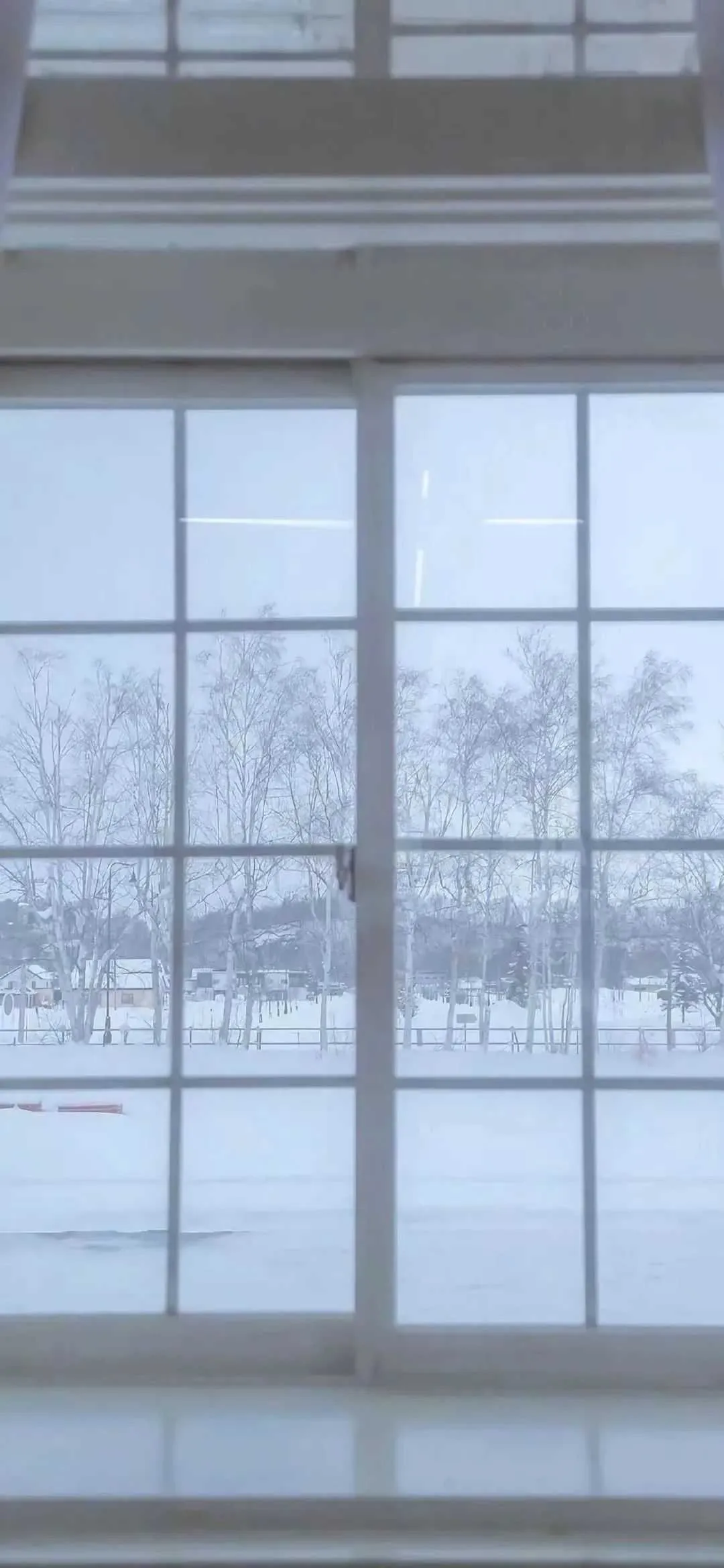 搜图神器_1735122161335.webp