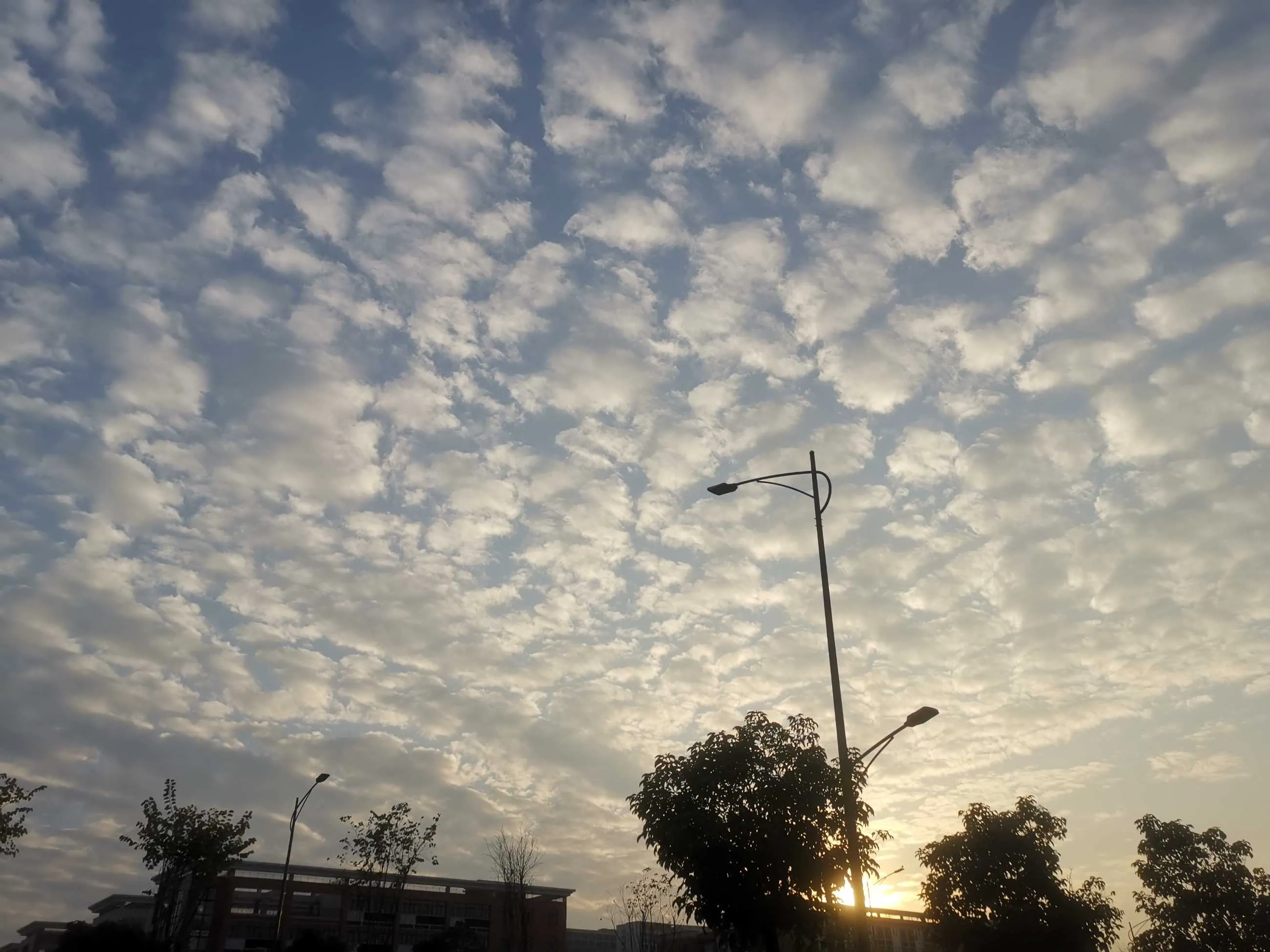 IMG_20241224_171024.webp