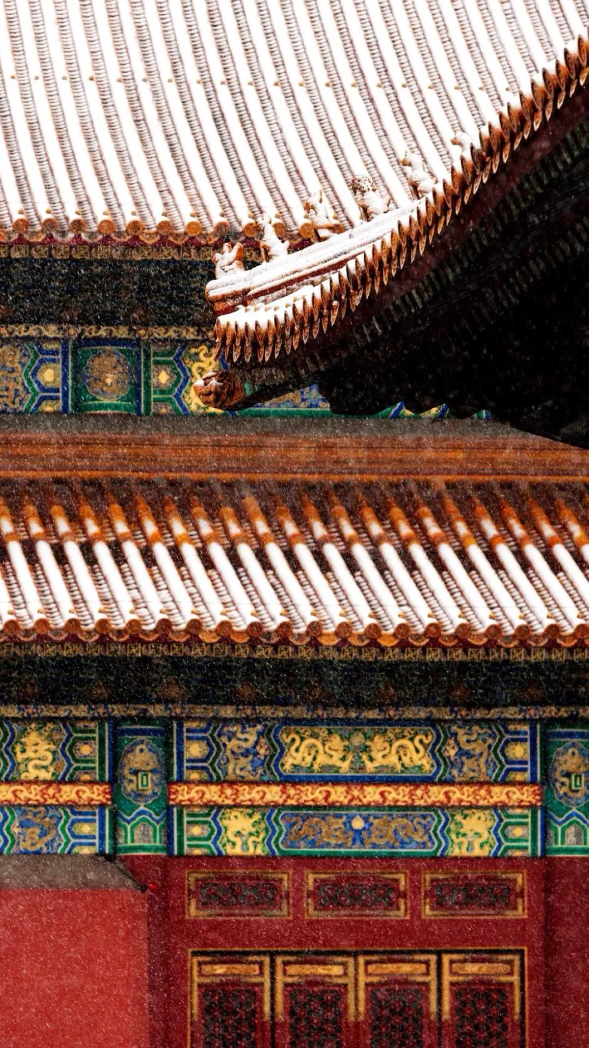 搜图神器_1735204599919.webp