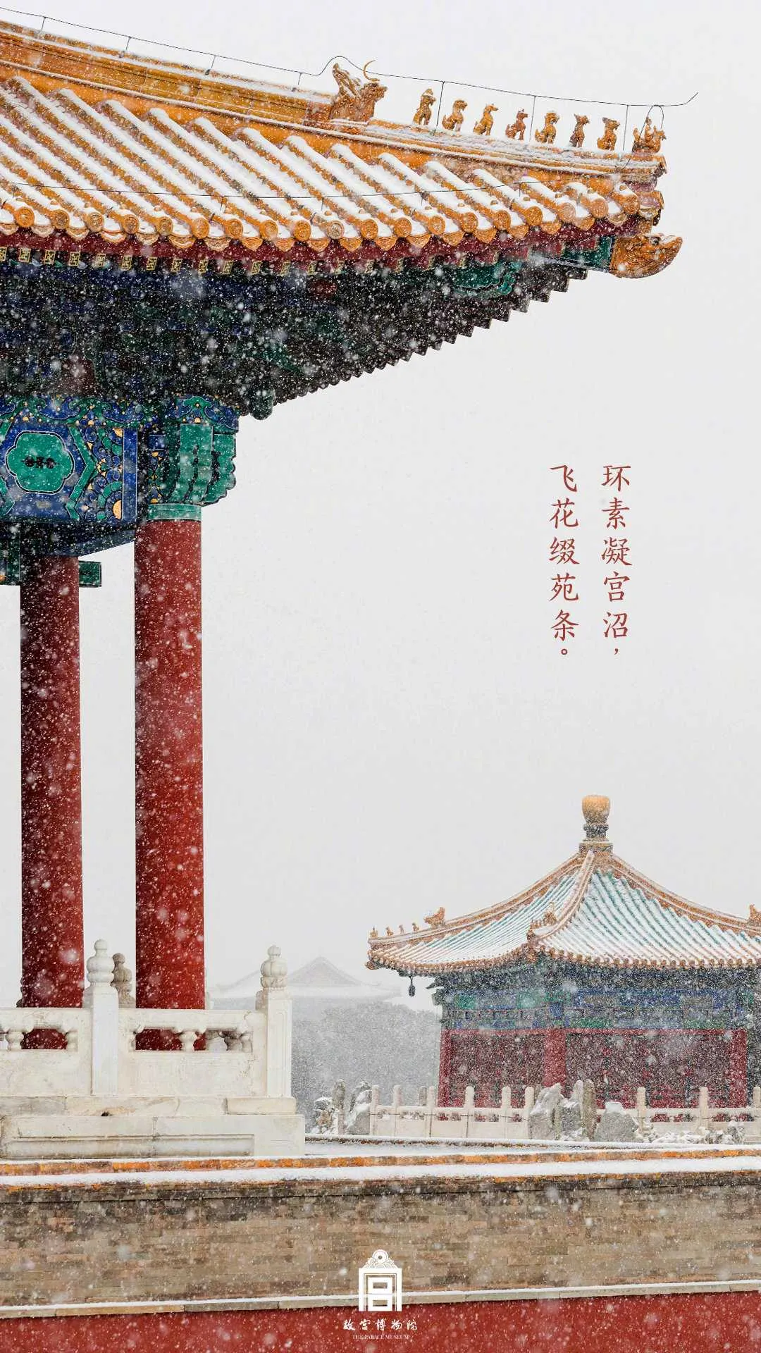 搜图神器_1735204557072.webp