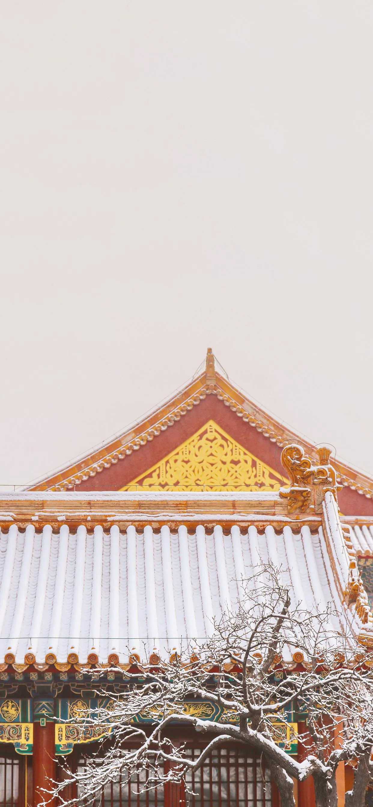 搜图神器_1735204532770.webp