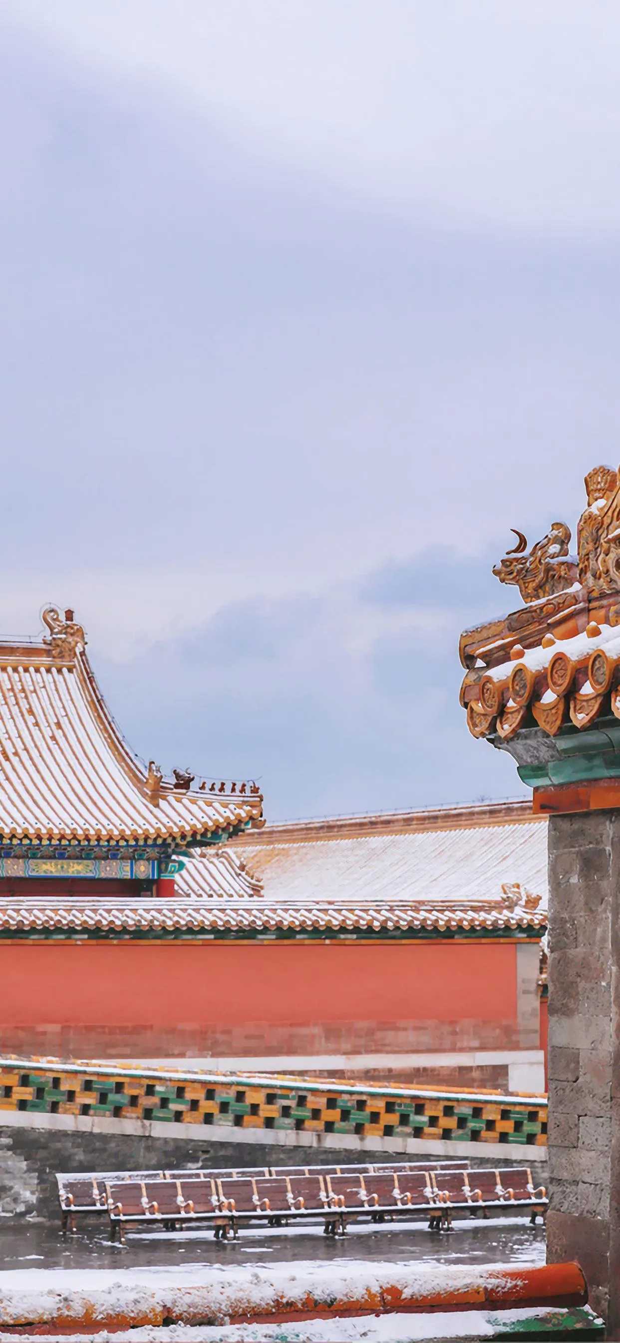 搜图神器_1735204506155.webp