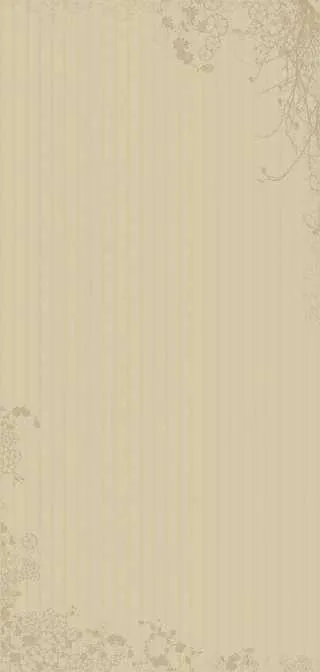 IMG_20241226_215055.webp