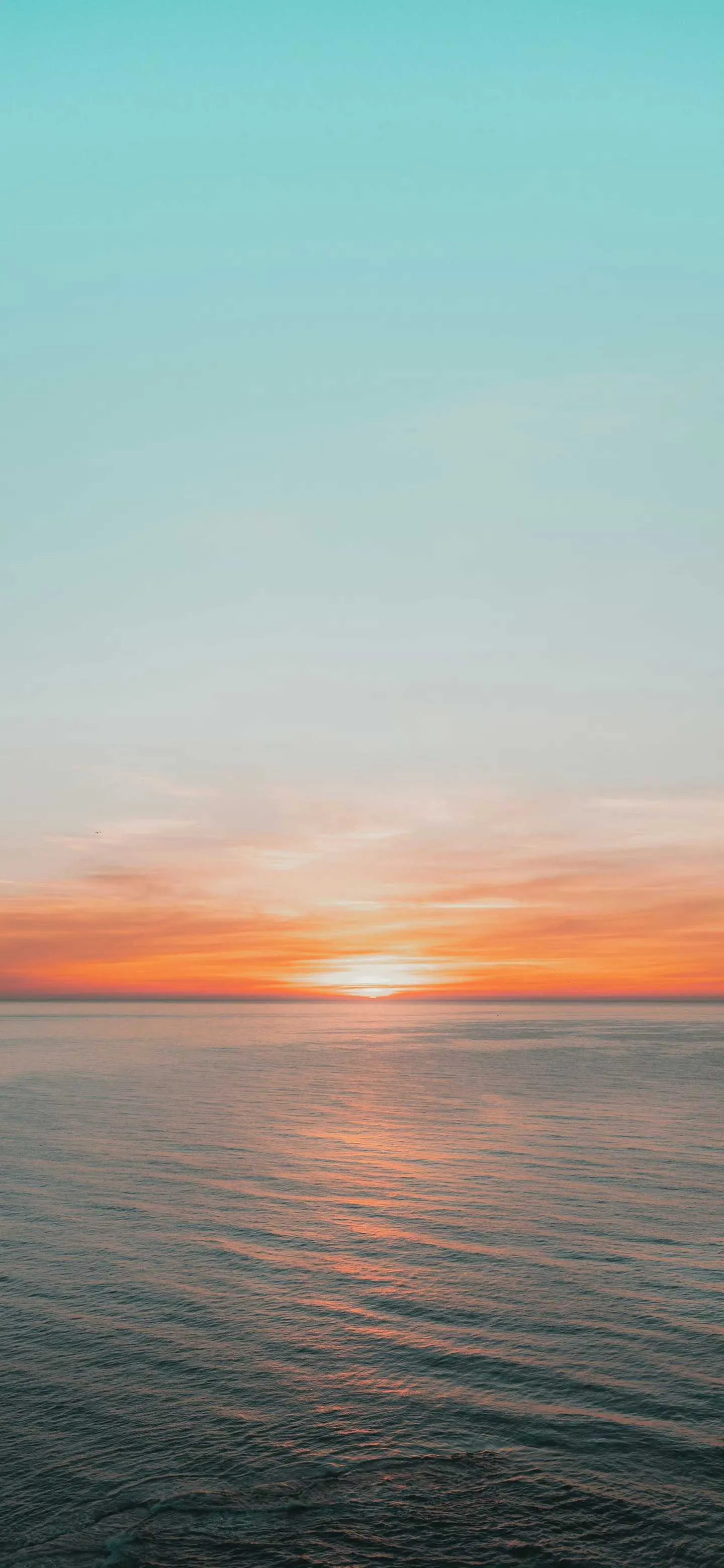 origin64fadb487e978a3a33e96ae2.webp