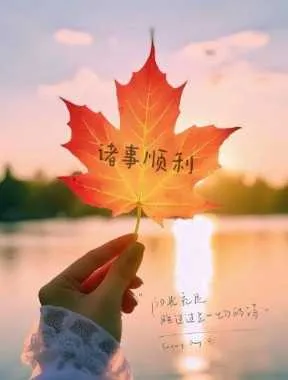 IMG_20241227_125911.webp