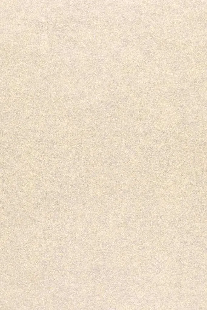 搜图神器_1736223384354.webp