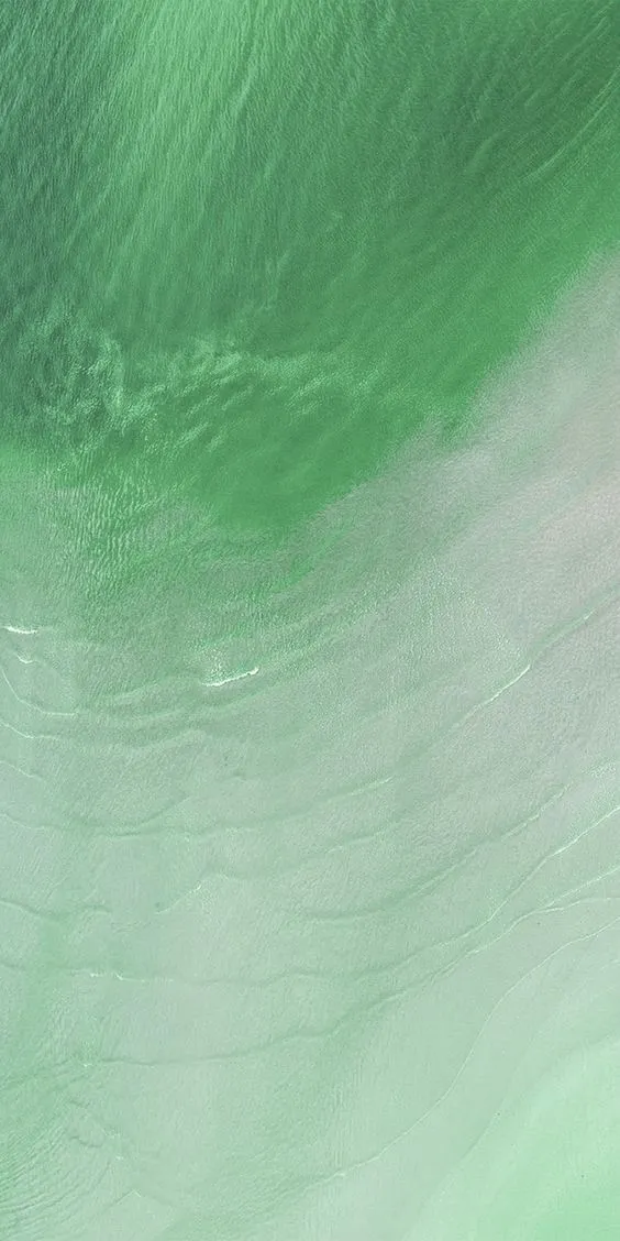 搜图神器_1736686600067.webp