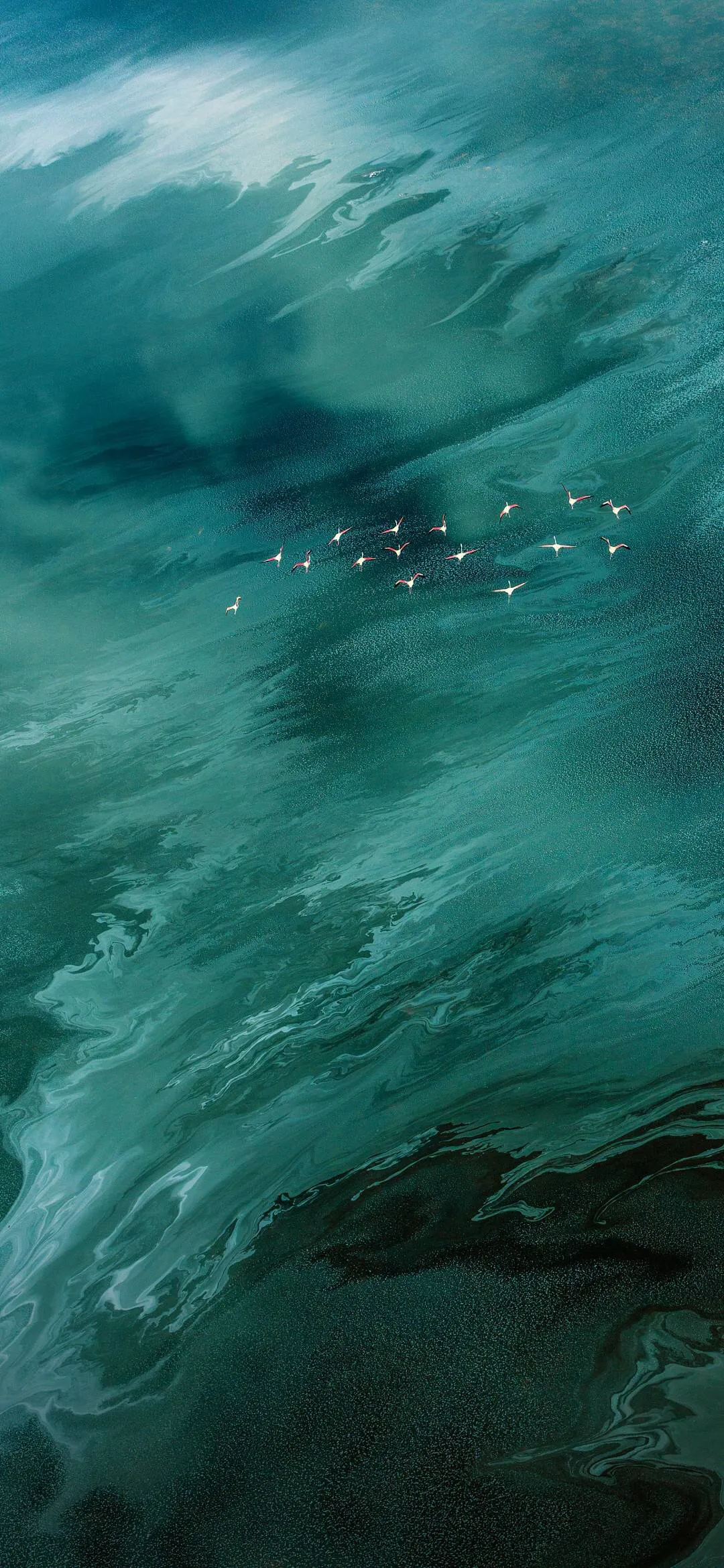 搜图神器_1736686605747.webp