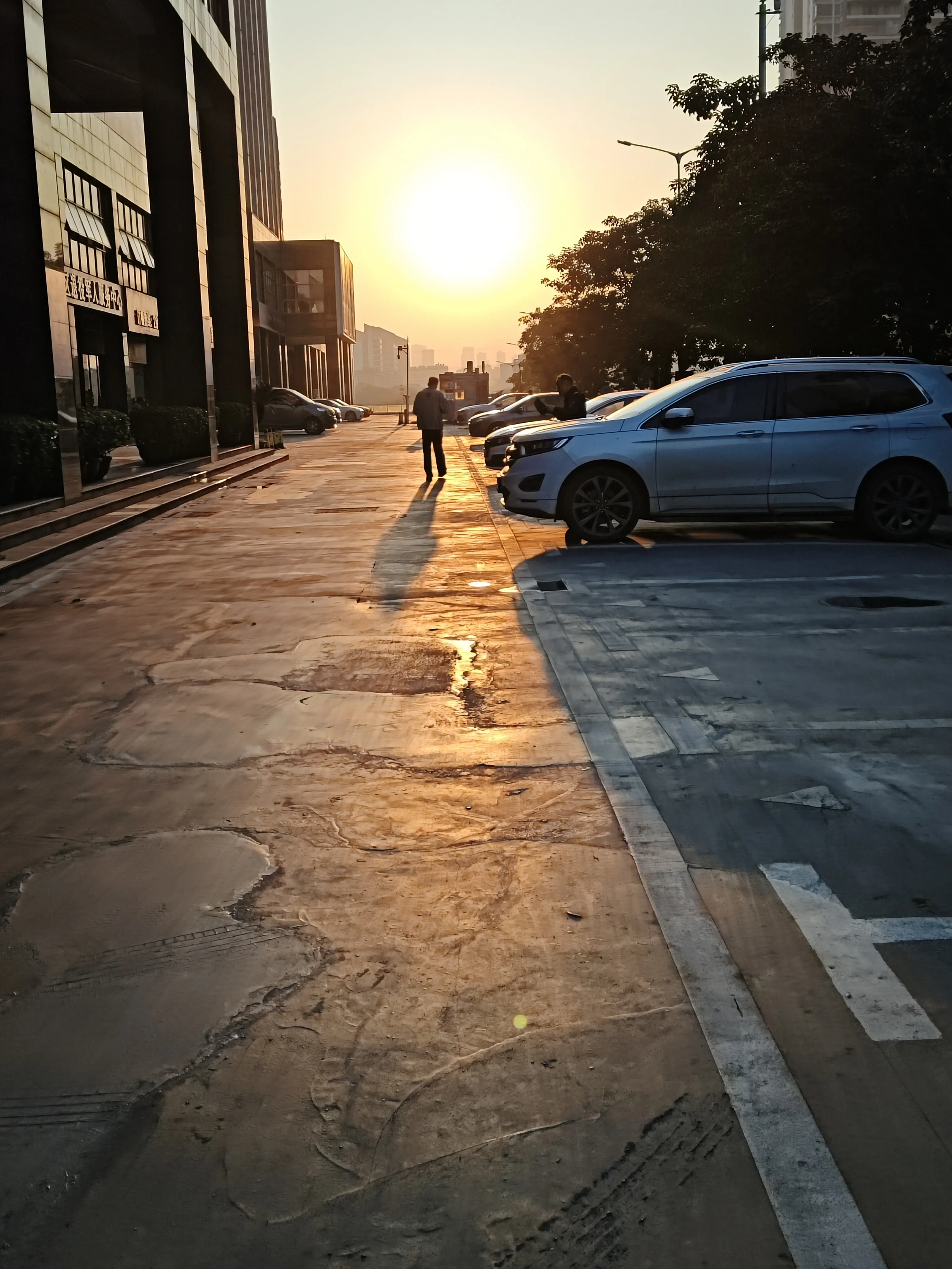IMG_20250120_073930.webp