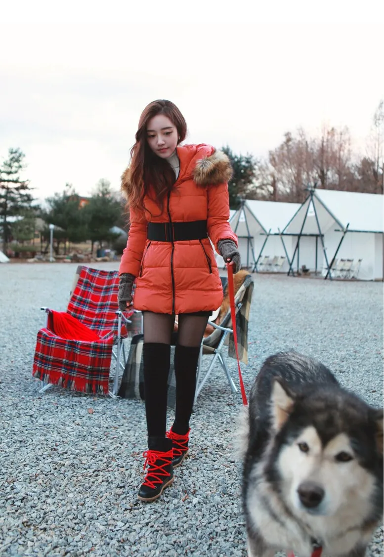 (1A768).webp