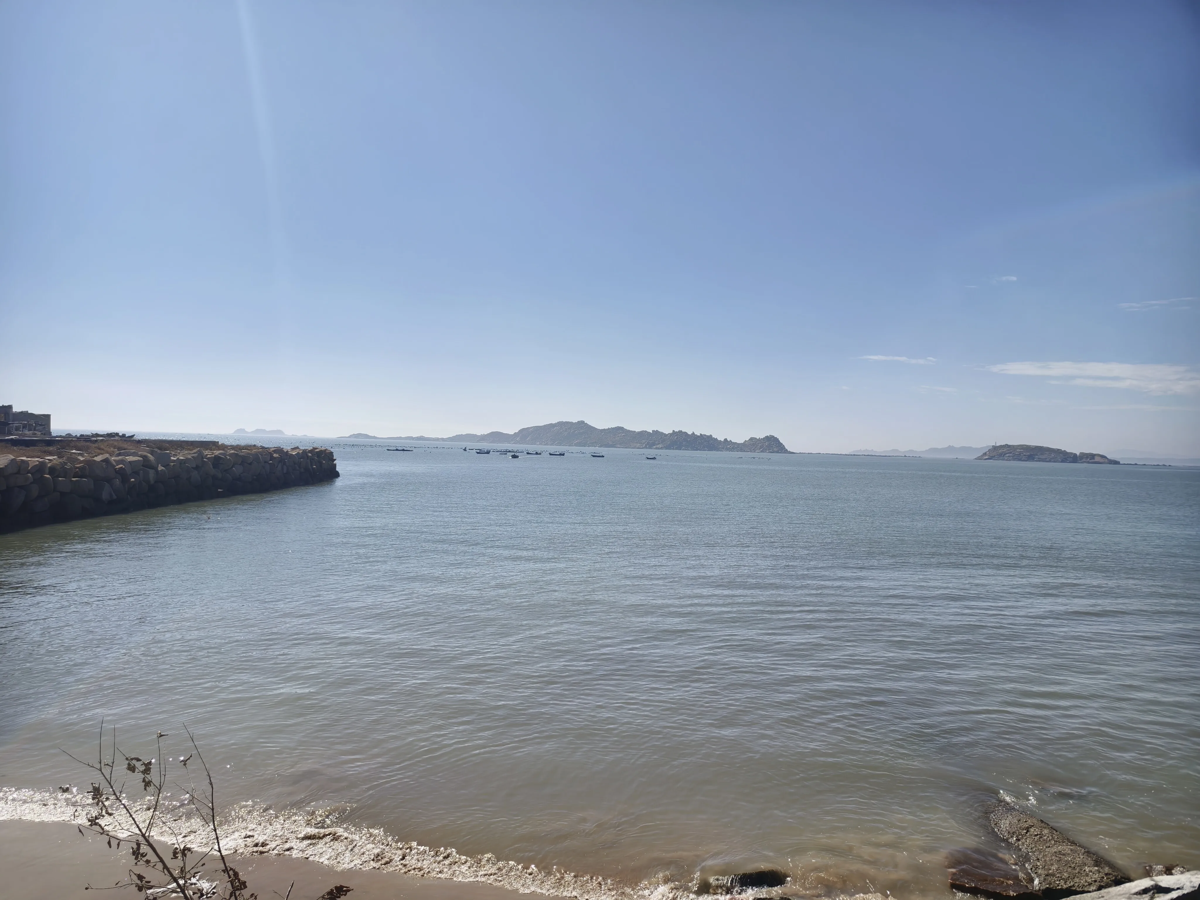 1000025740.webp