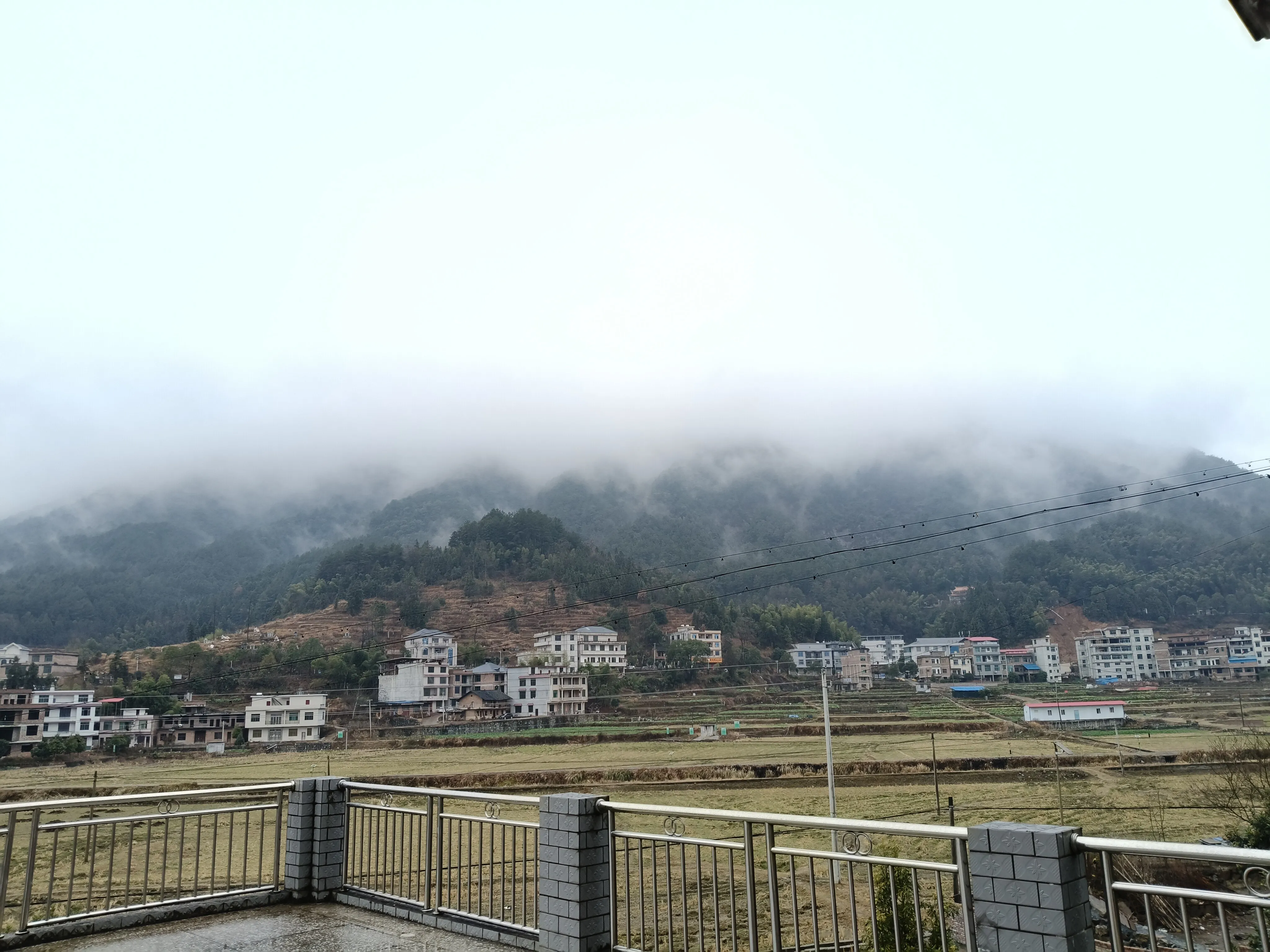 1000002006.webp