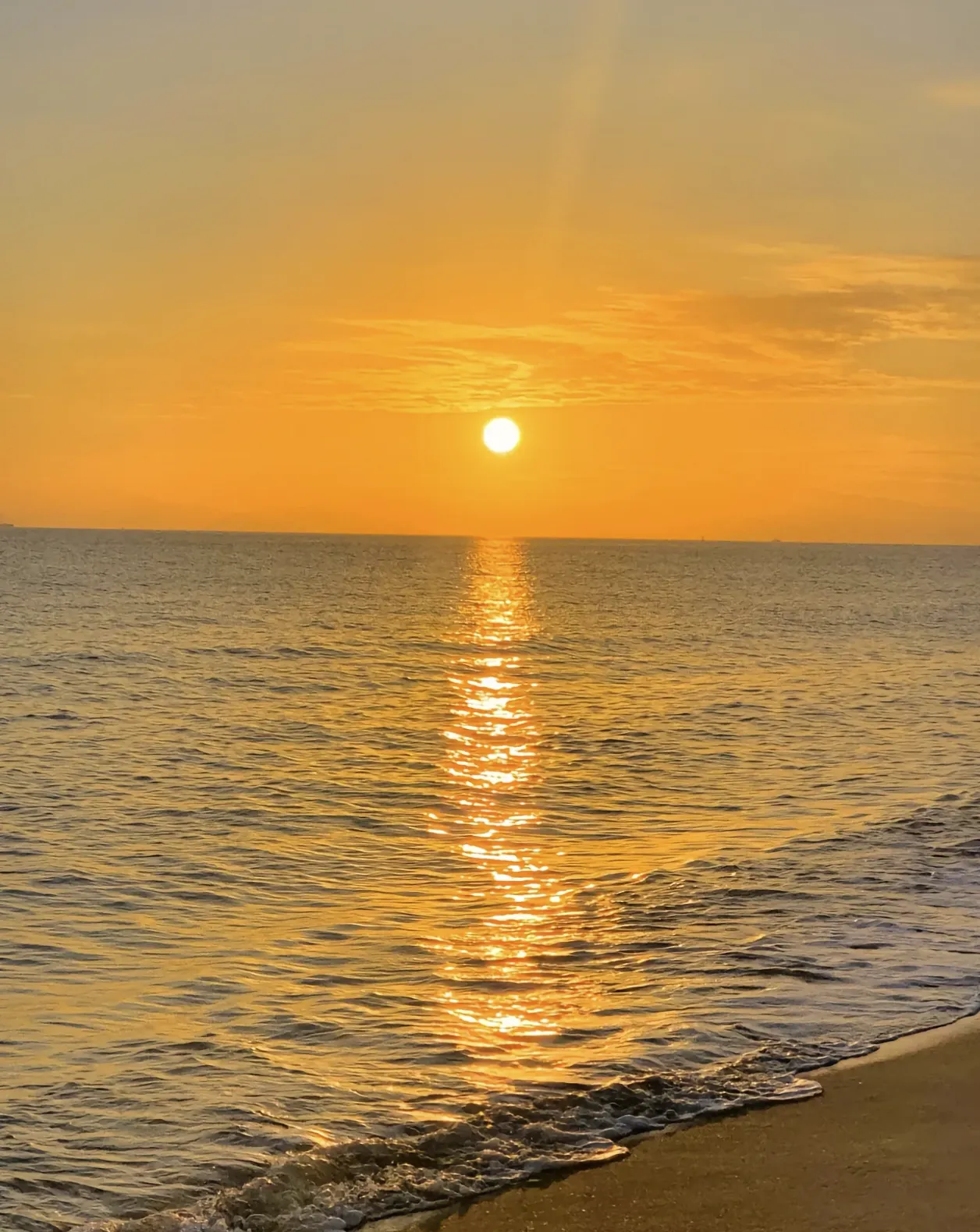 IMG_20250207_090009.webp