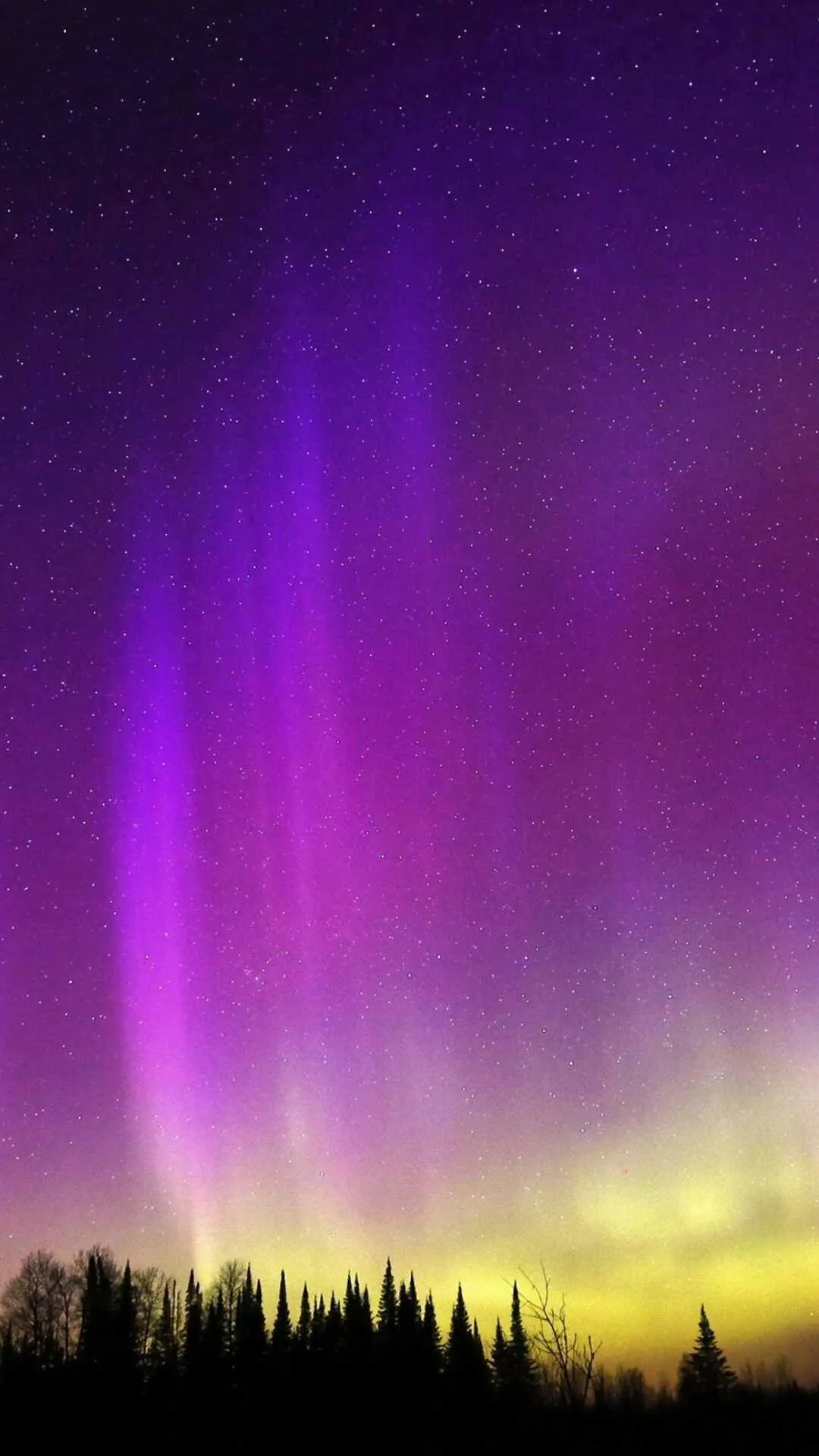 194af3dff5_1589361754181_20_1.webp