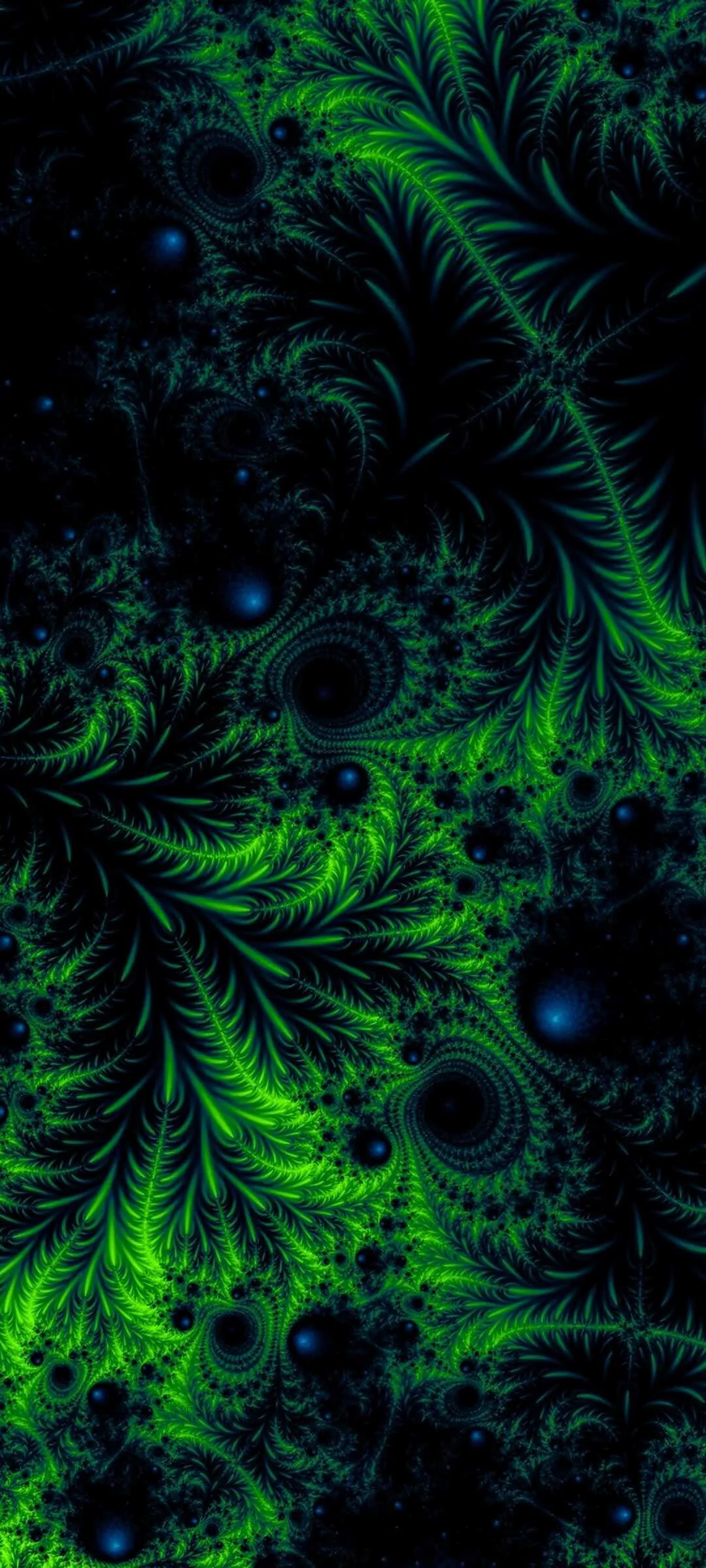 1589362050910.webp