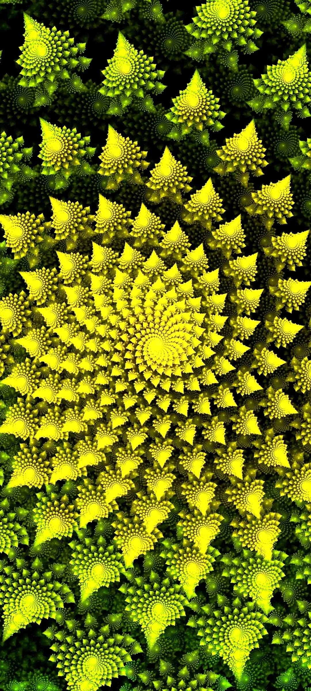 1589362086043.webp
