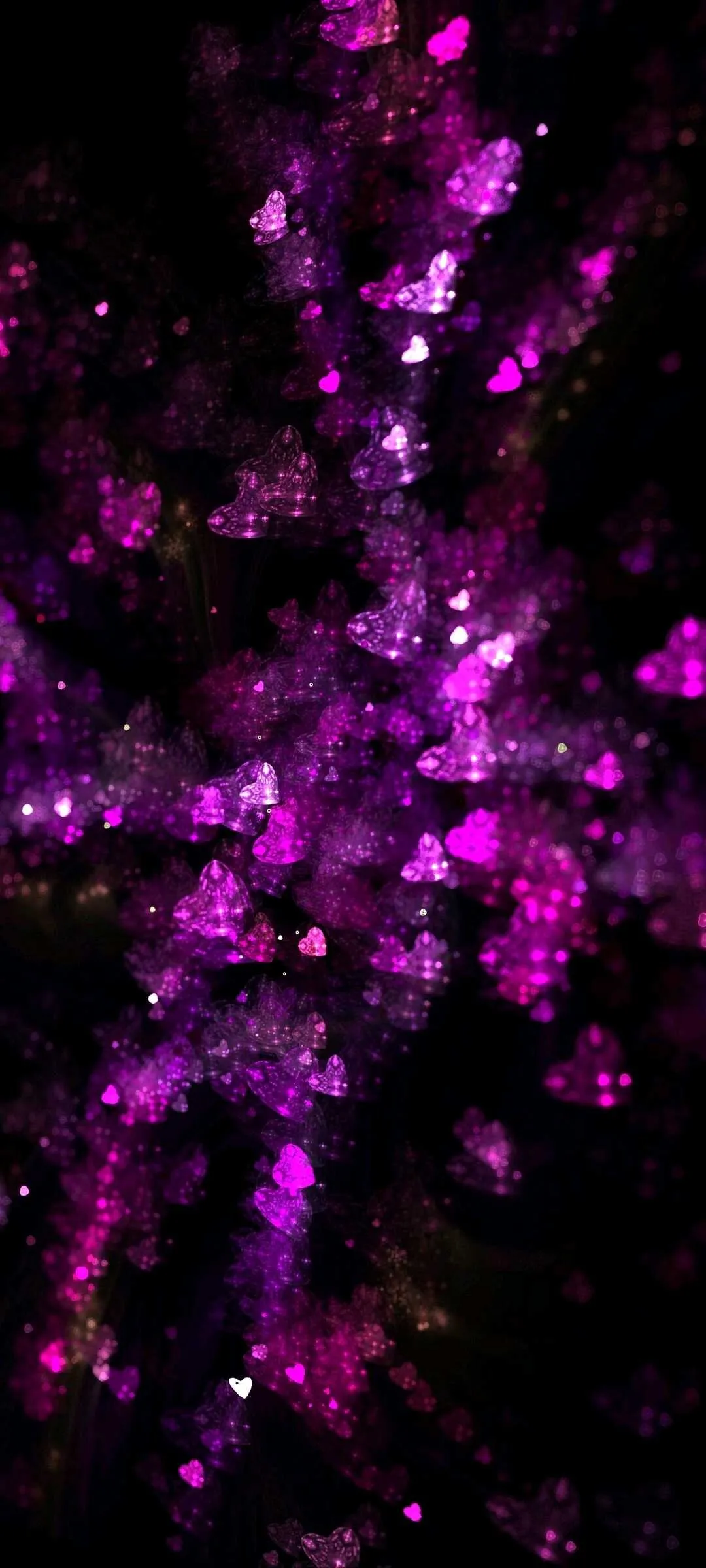 1589362116925.webp