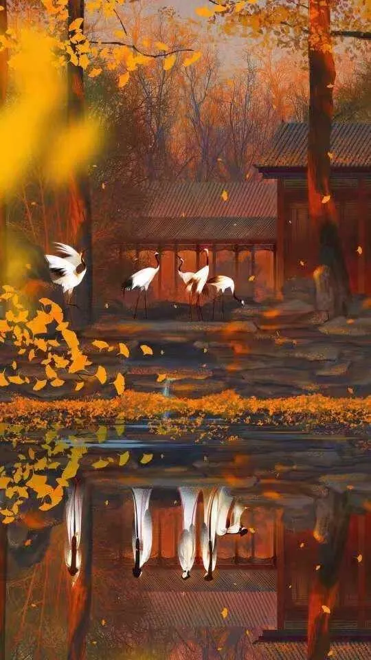 1589362709600.webp