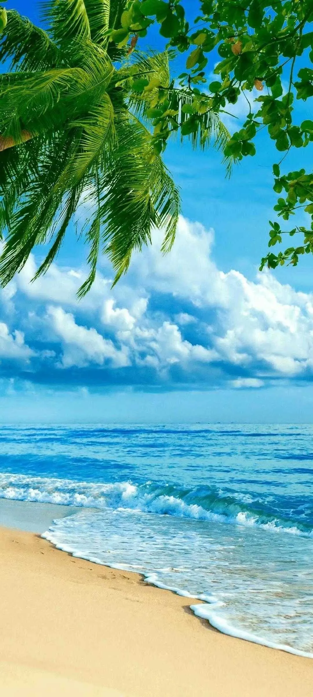 1589362791032.webp