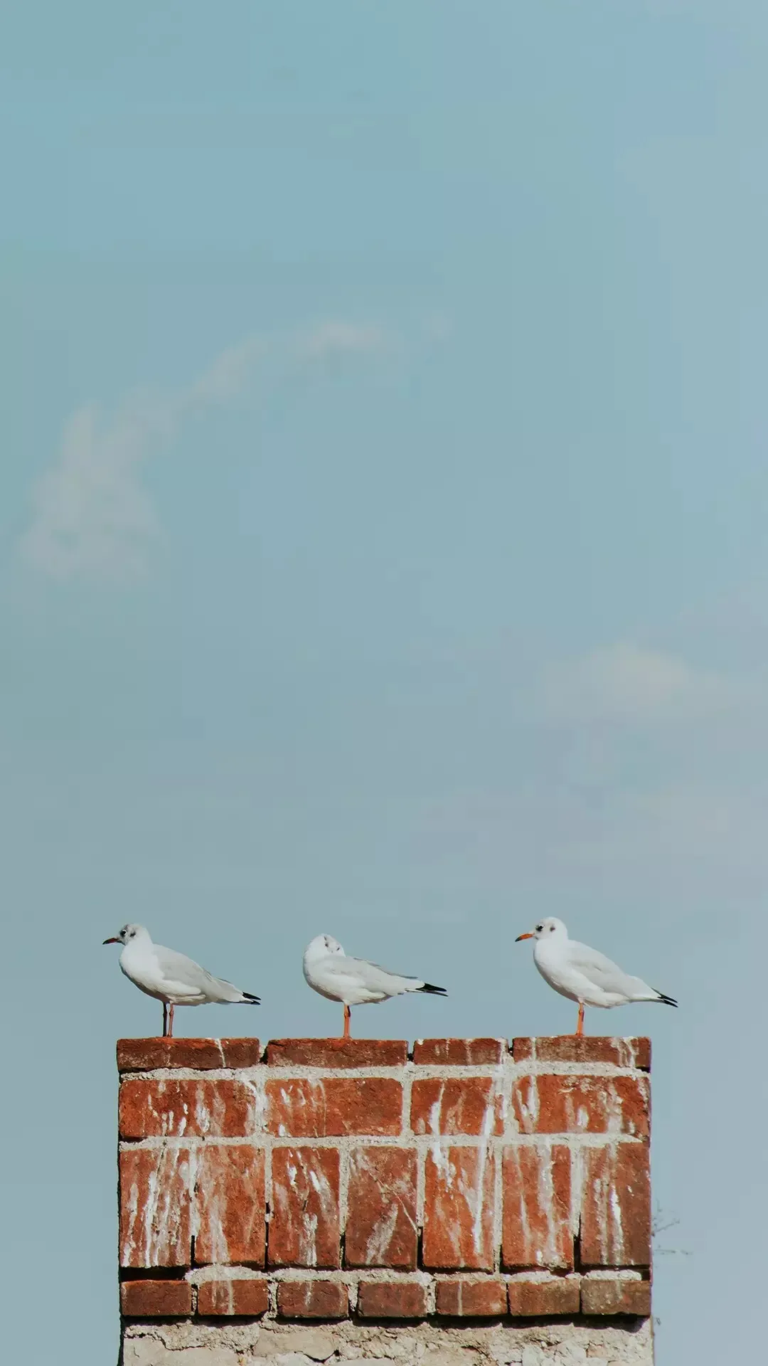 1000010145.webp