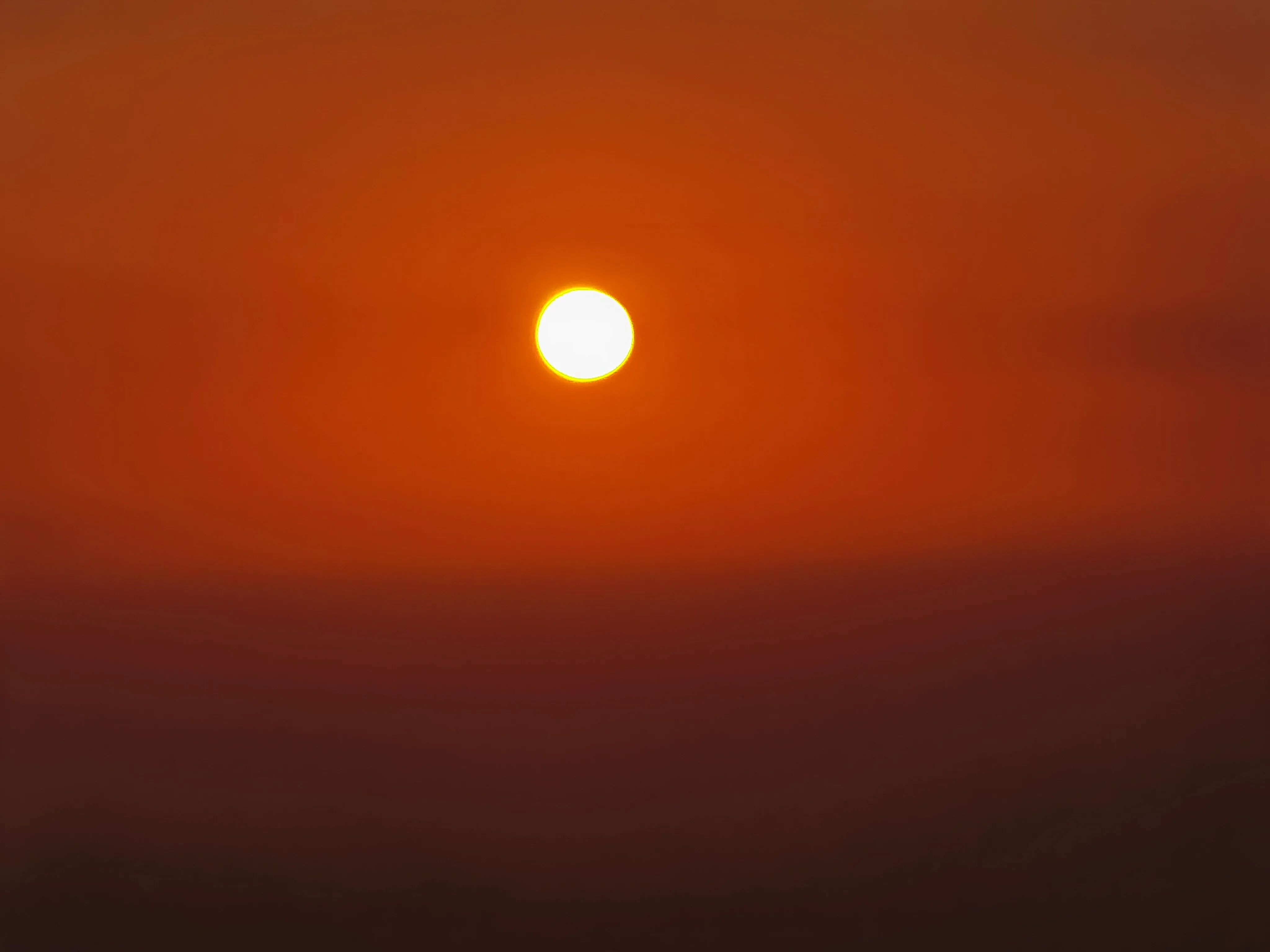 IMG_20230326_061559.webp
