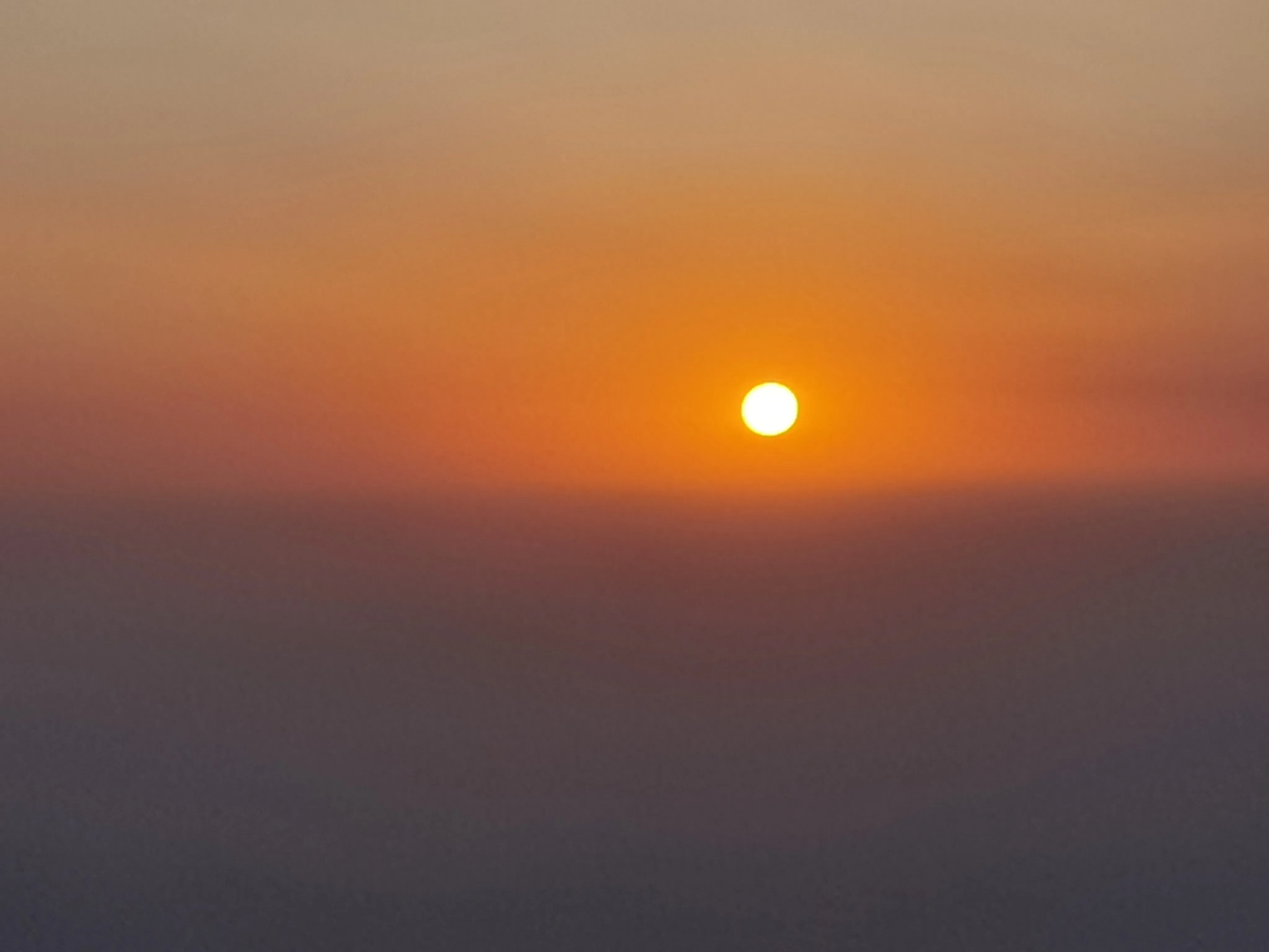IMG_20230326_061431.webp