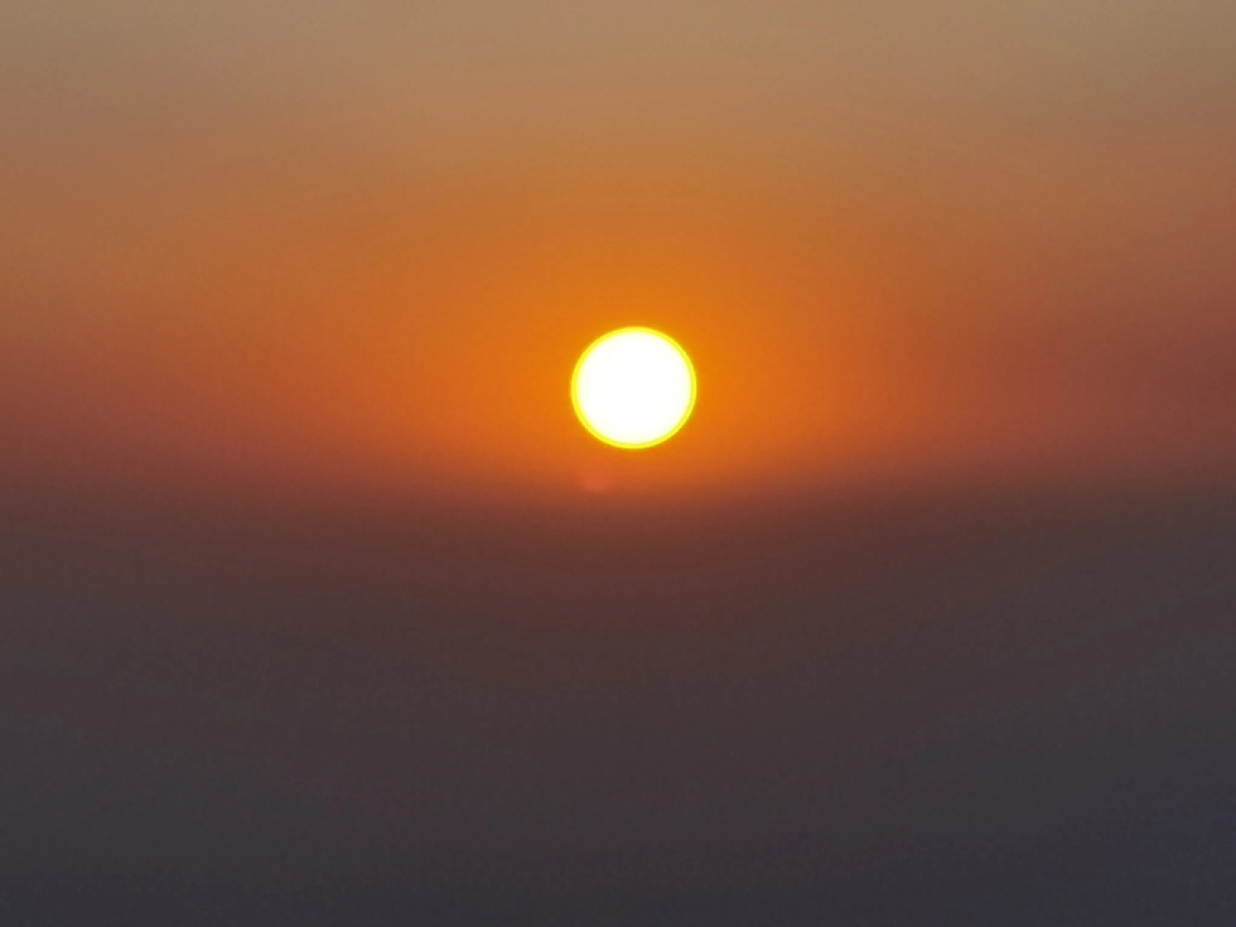 IMG_20230326_061409.webp
