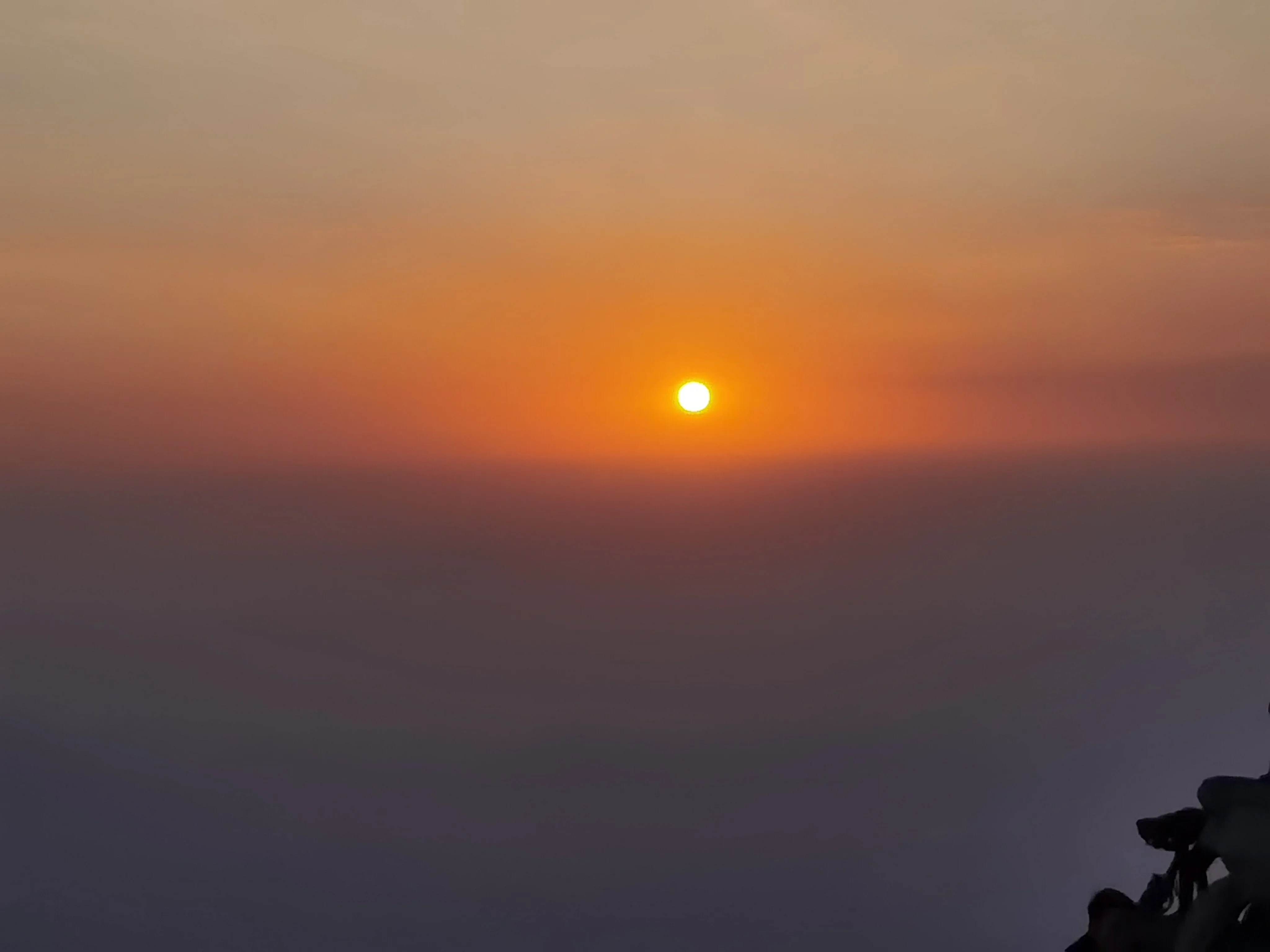 IMG_20230326_061442.webp