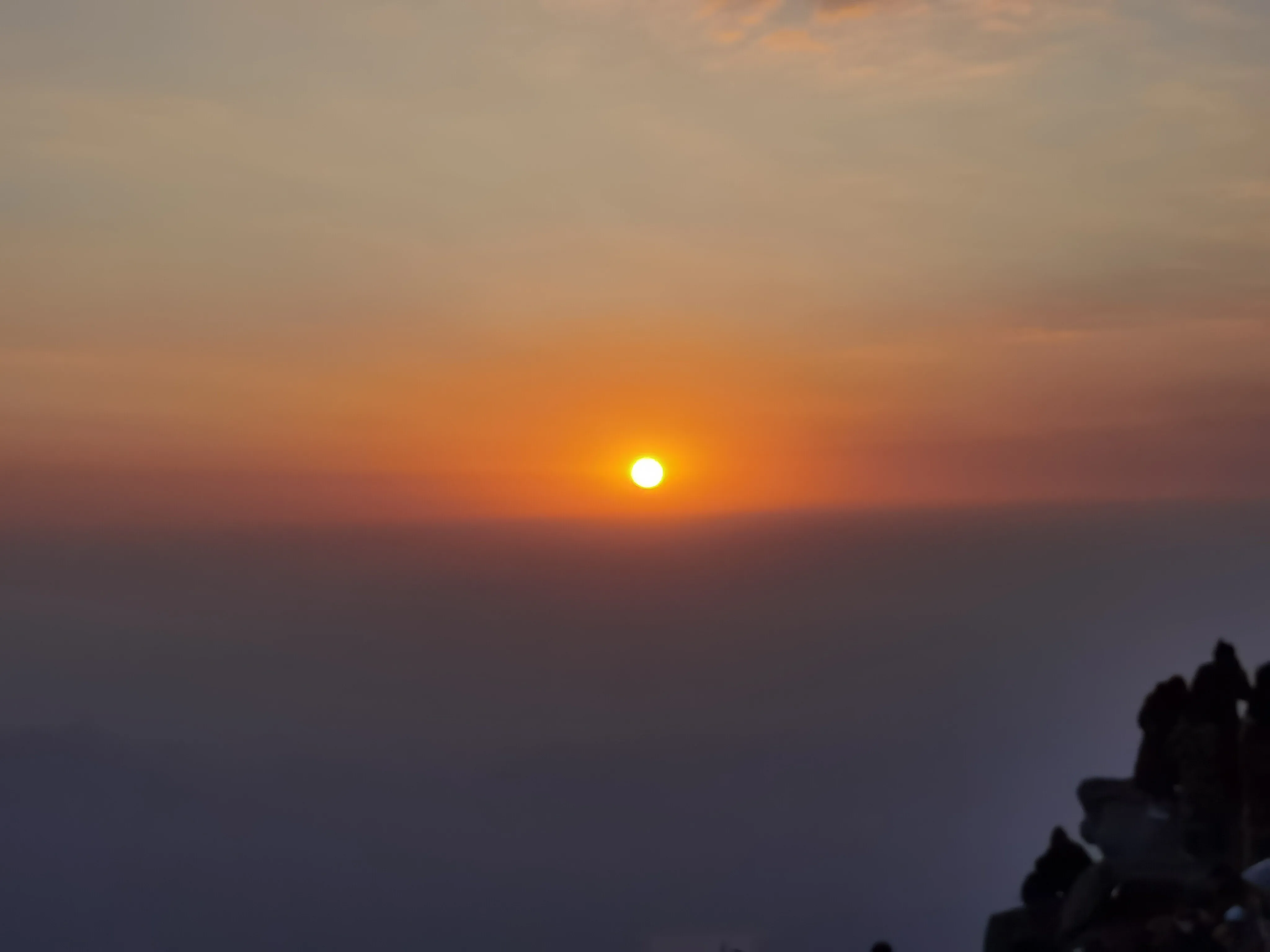 IMG_20230326_061341.webp
