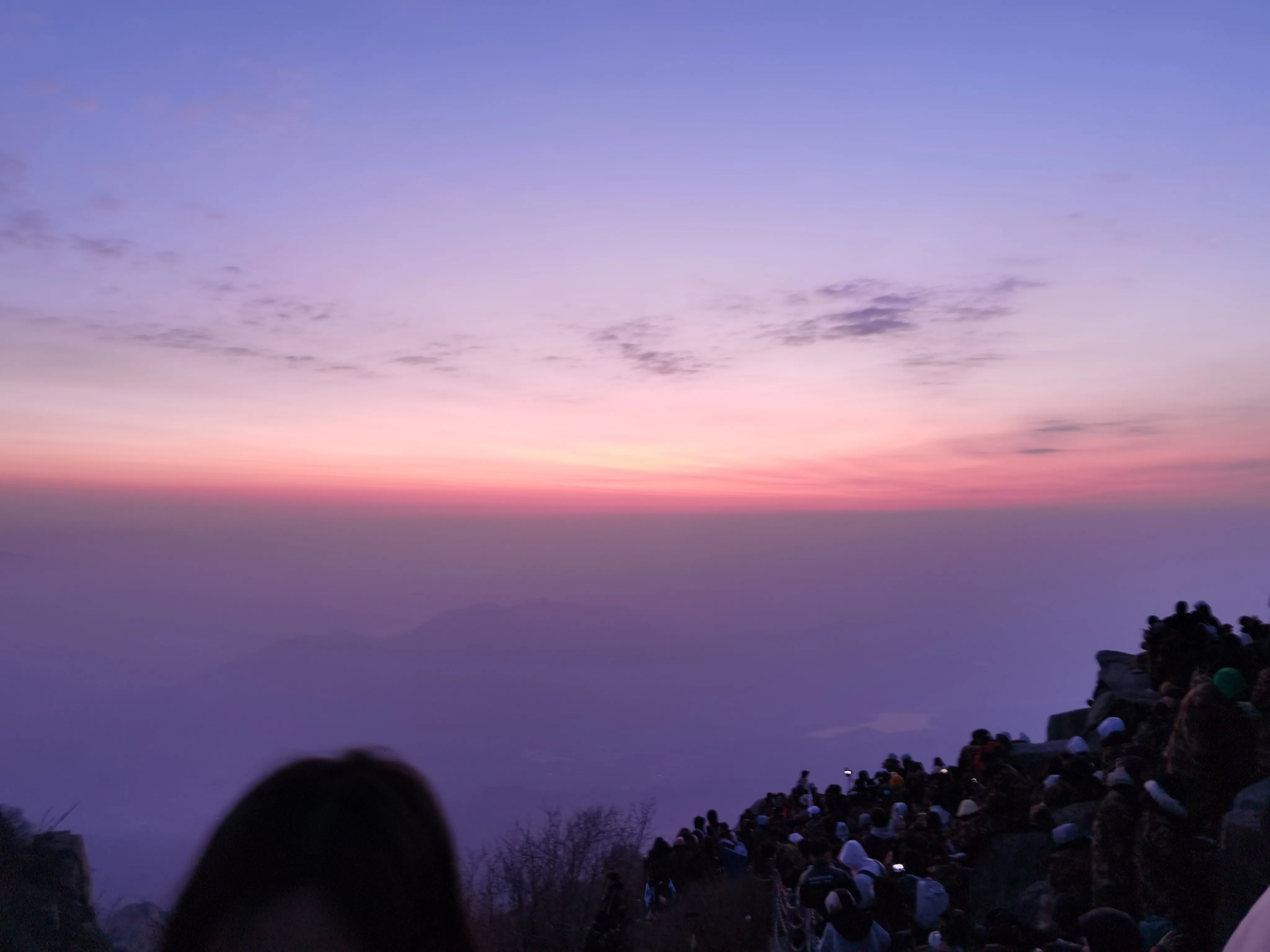 IMG_20230326_054521.webp