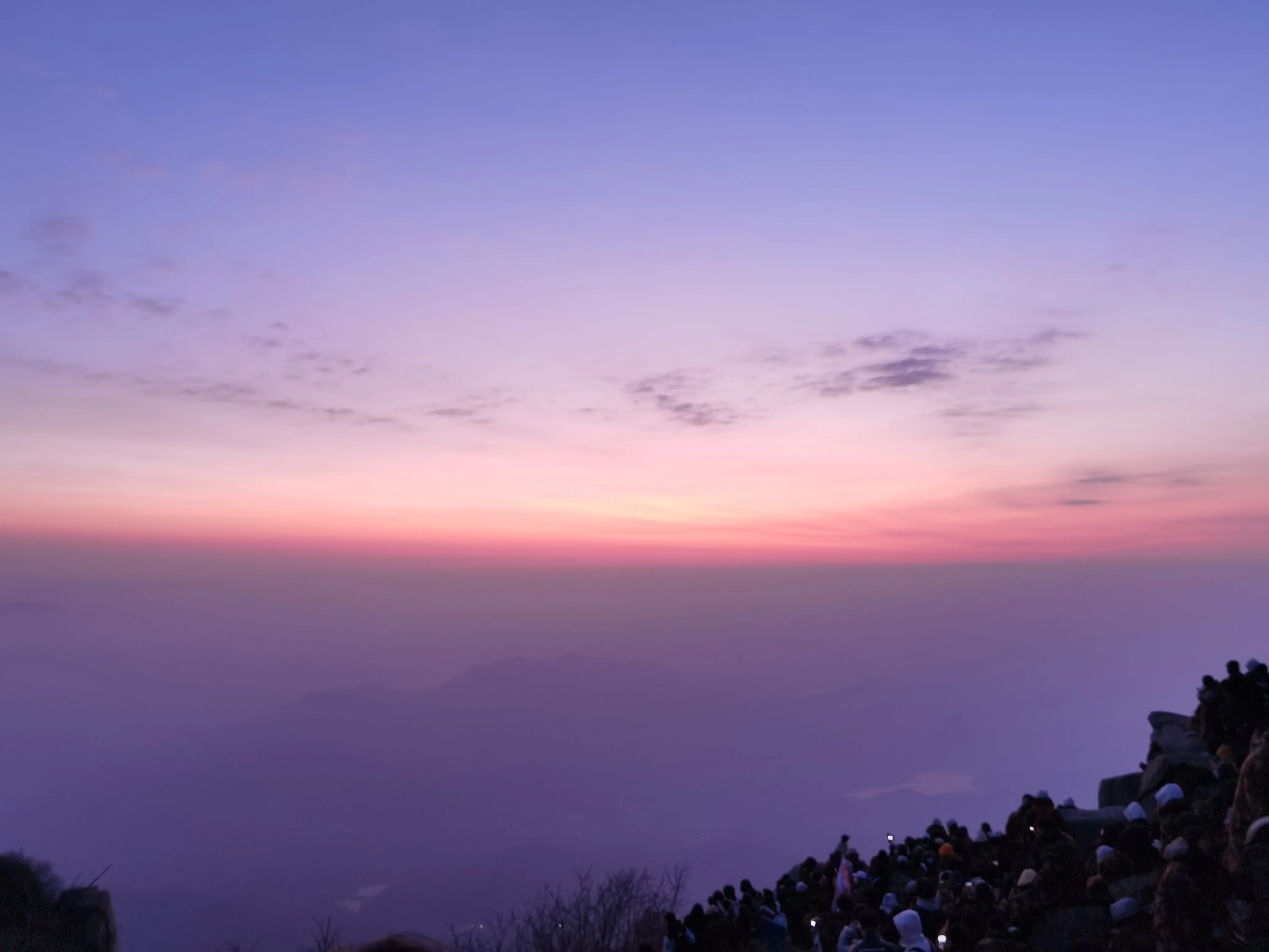 IMG_20230326_054528.webp