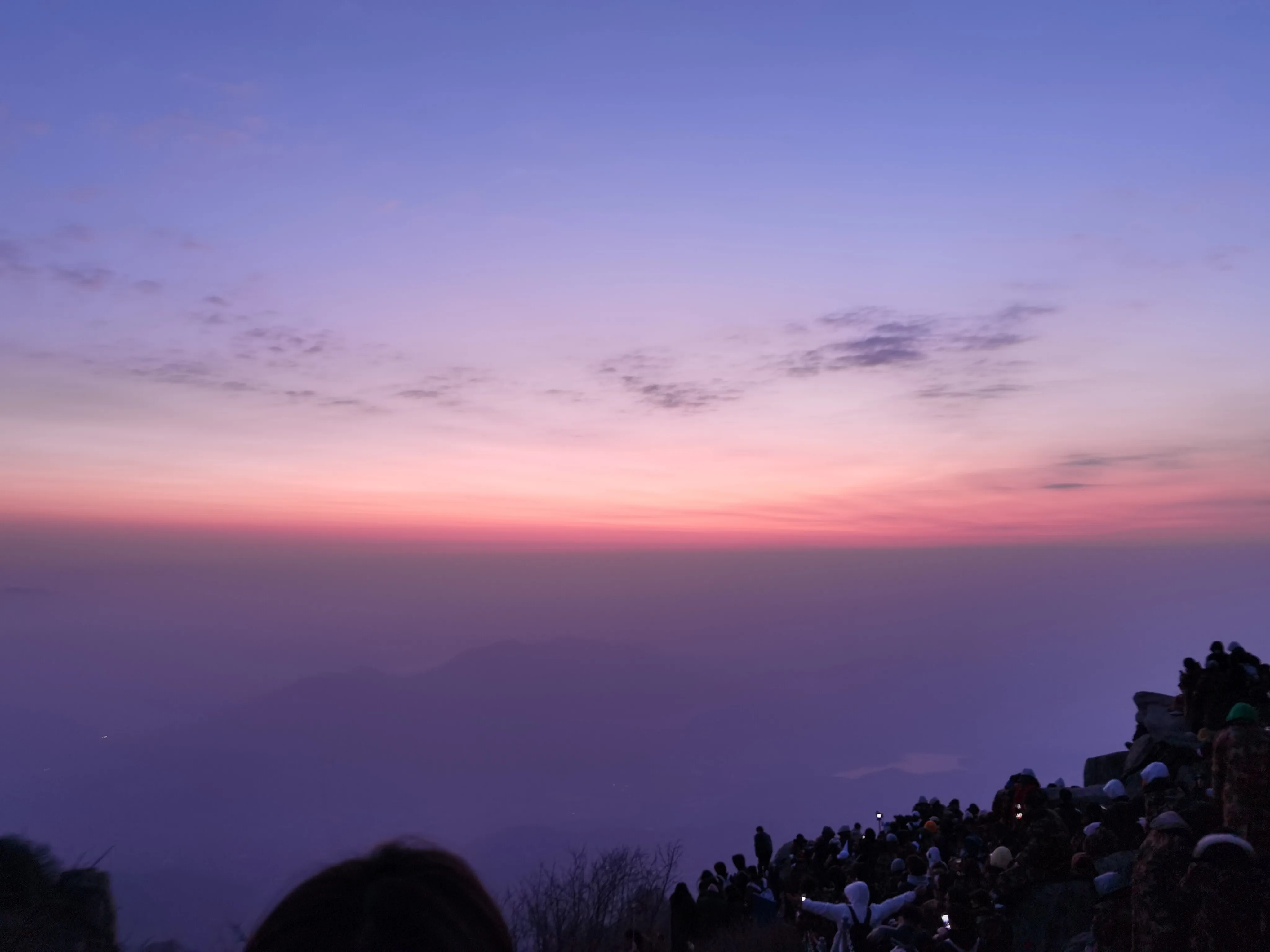 IMG_20230326_054452.webp