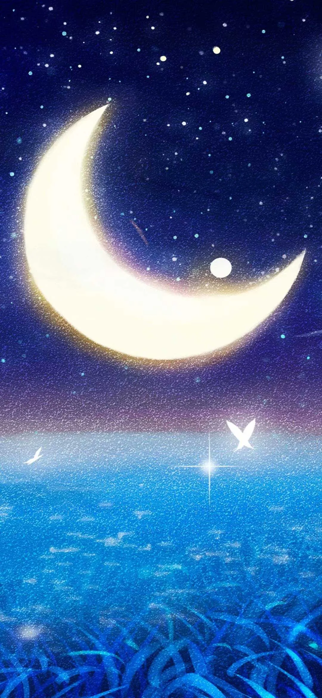 1589362865650.webp