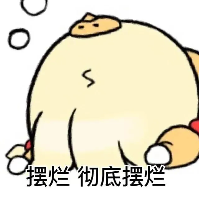 1000047736.webp