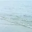 10061.webp