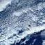 10242.webp