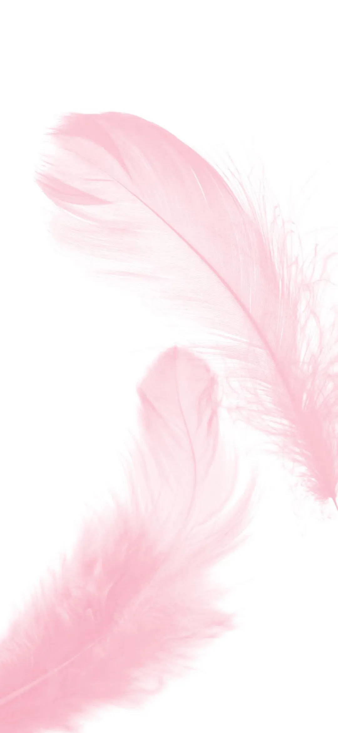 img-17382439881331b9998e81eeae485d9ce59558ca0c68402068bfebb3fc75334f299f425d1697b.webp