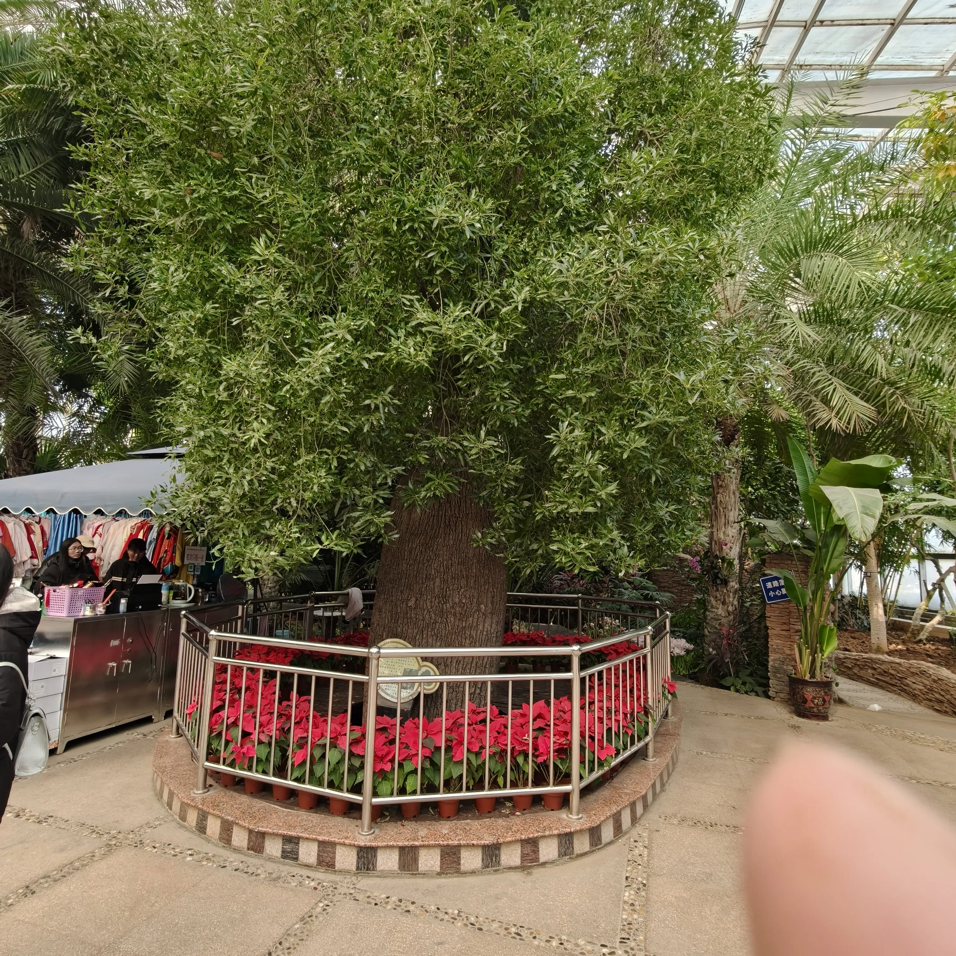 1000020647.webp