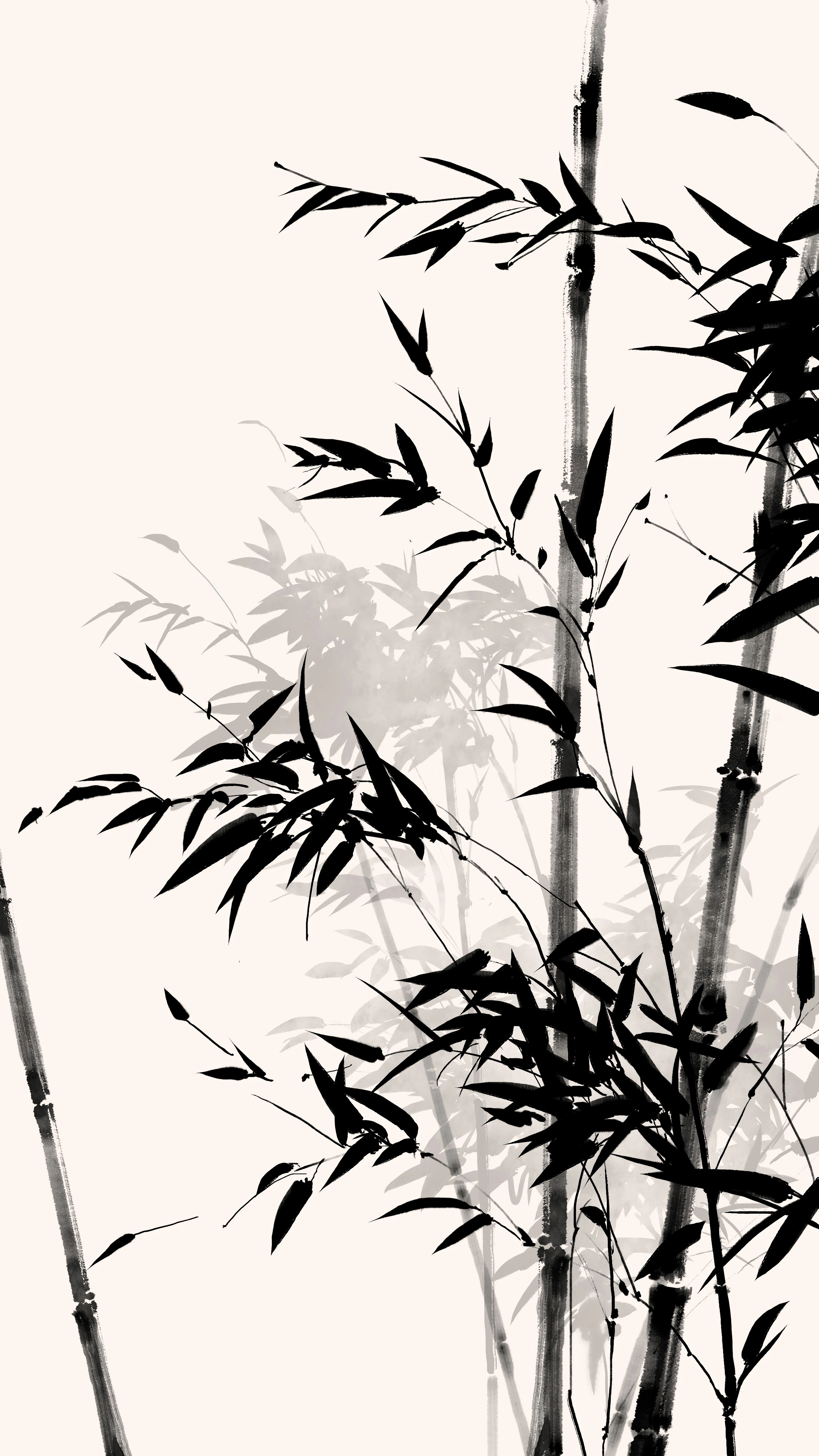 元气壁纸_1740302605601.webp