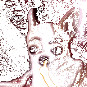 1000115511.gif