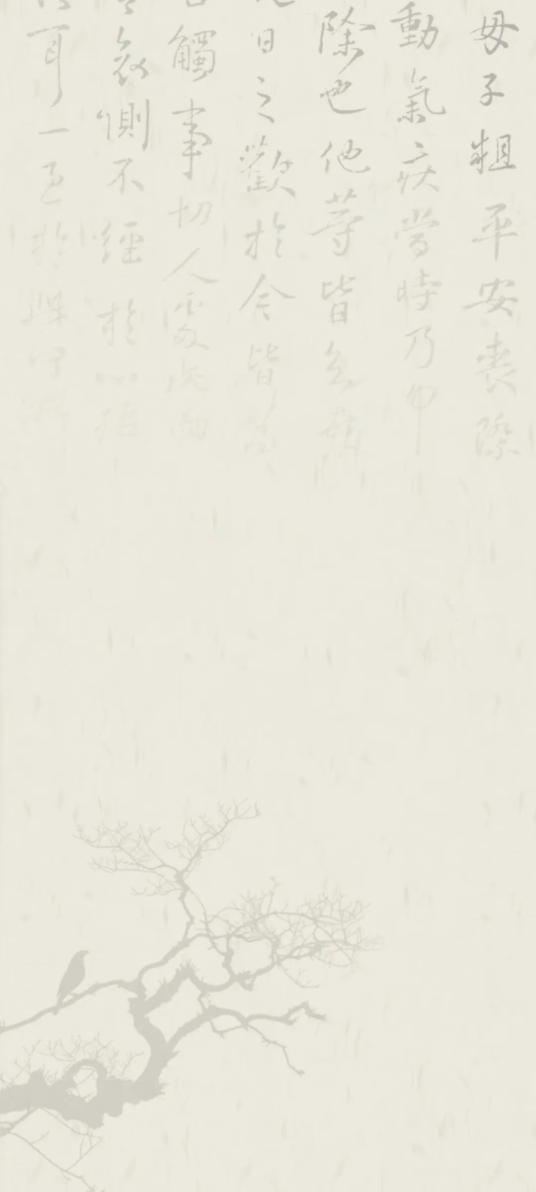 1000180780.webp
