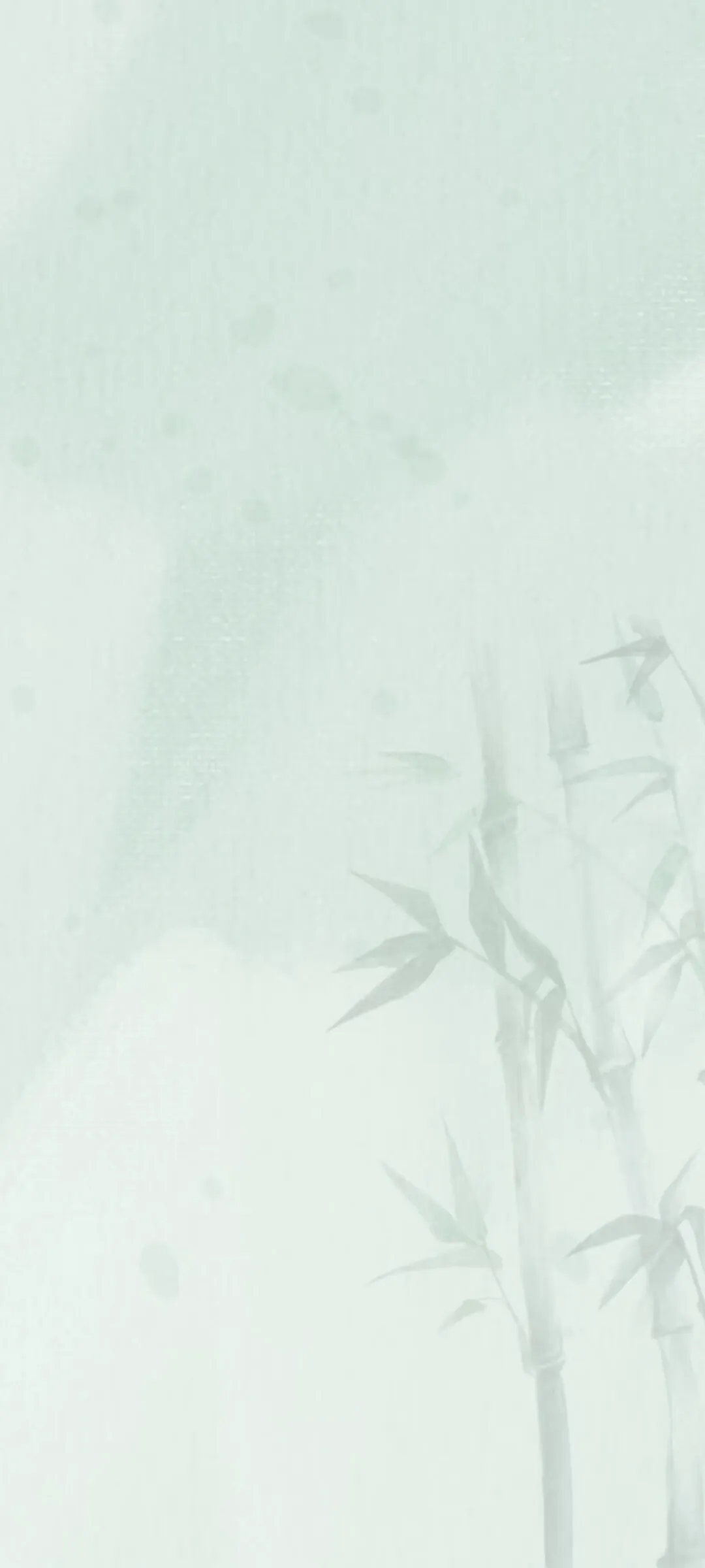 Screenshot_20250227_000615.webp