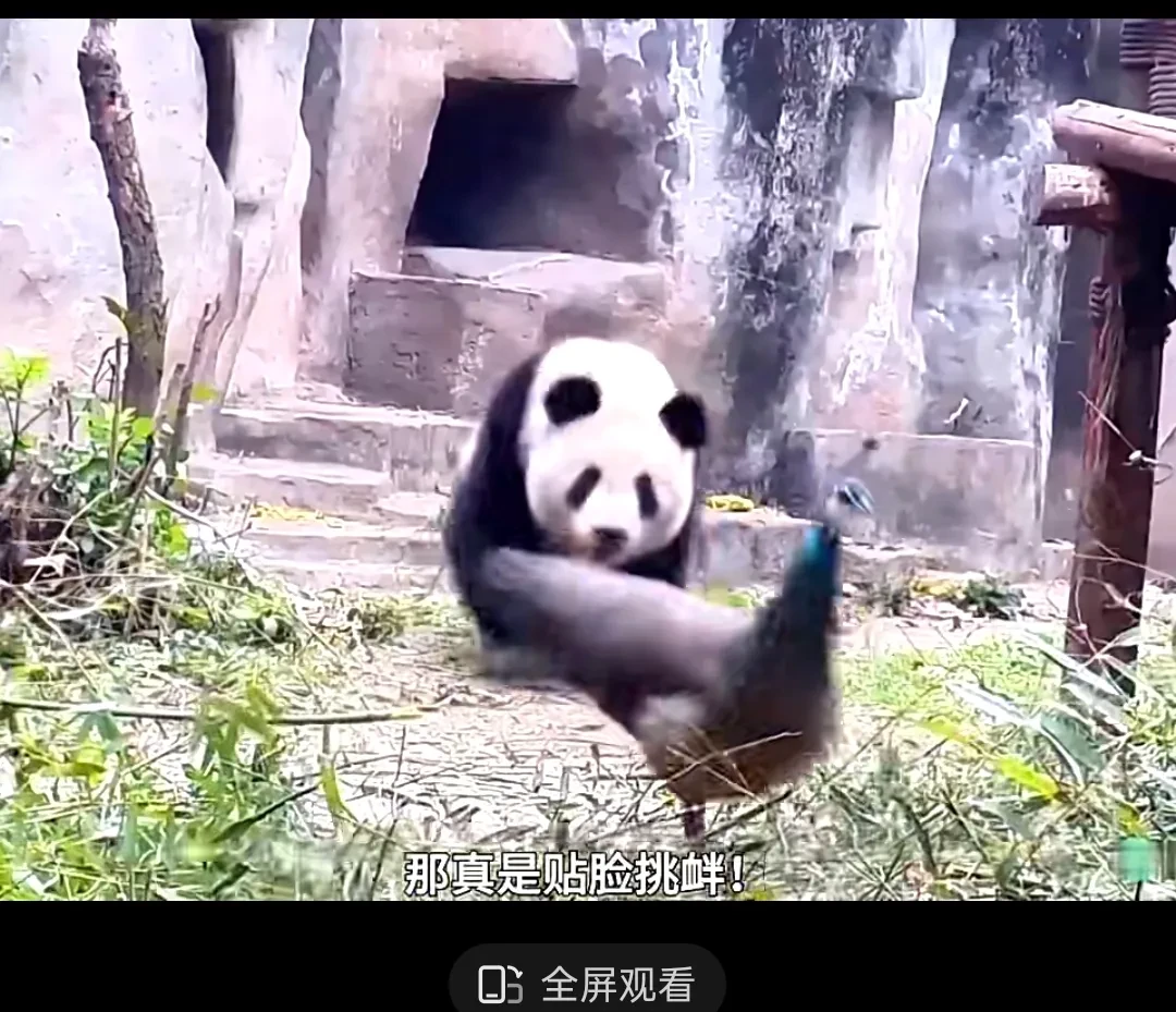 Screenshot_2025-03-30-10-58-08-13.webp