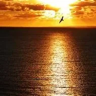 1000023838.webp