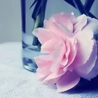 1000023831.webp
